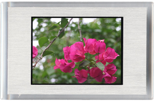 <b>デジバム2.4インチ シグネージ24SV</b>