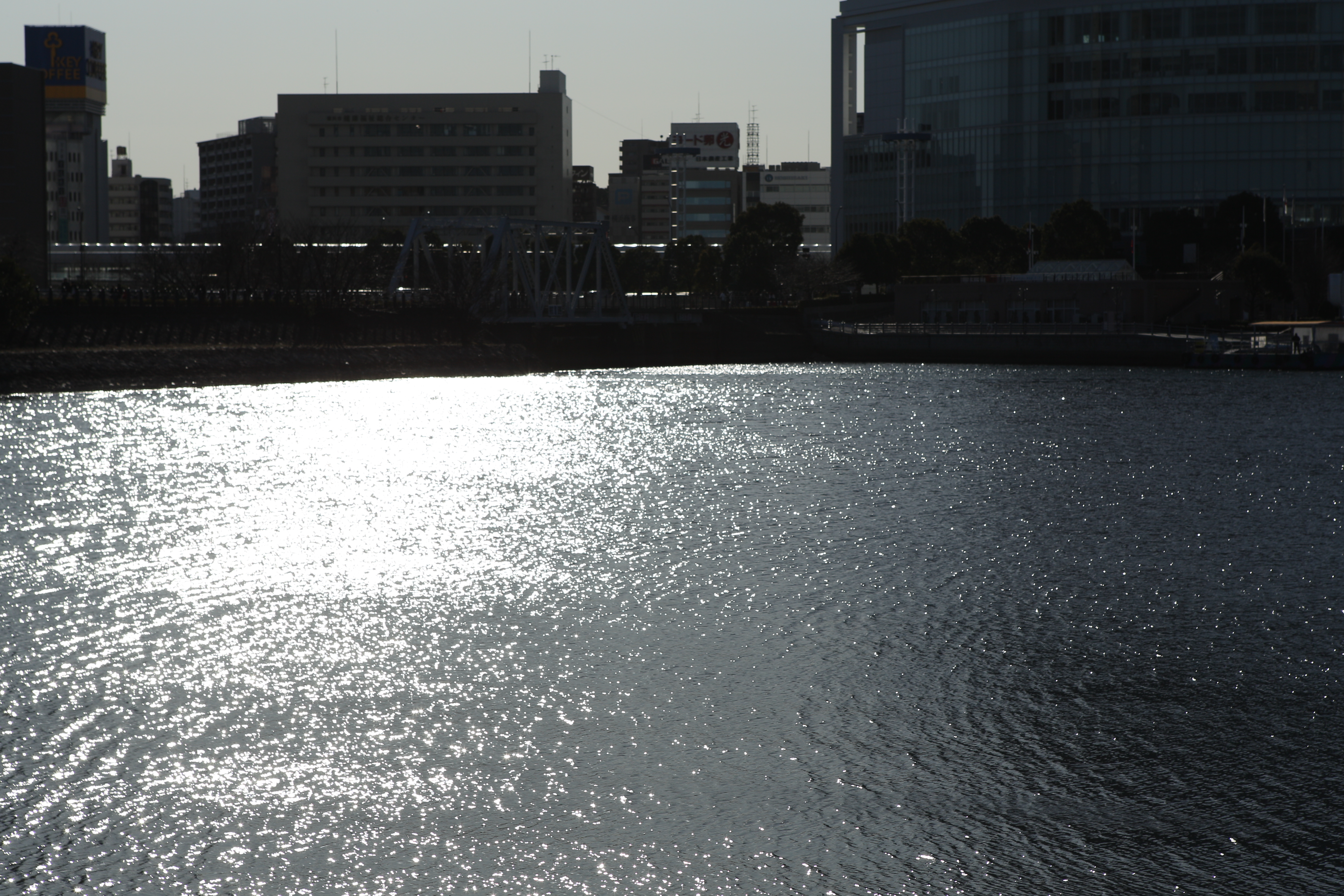 <b>EOS-1D Mark IV / EF 24-70mm F2.8 L USM / 4,896×3,264 / 1/1,250秒 / F8 / 0EV / ISO100 / マニュアル / WB:太陽光 / 70mm</b>