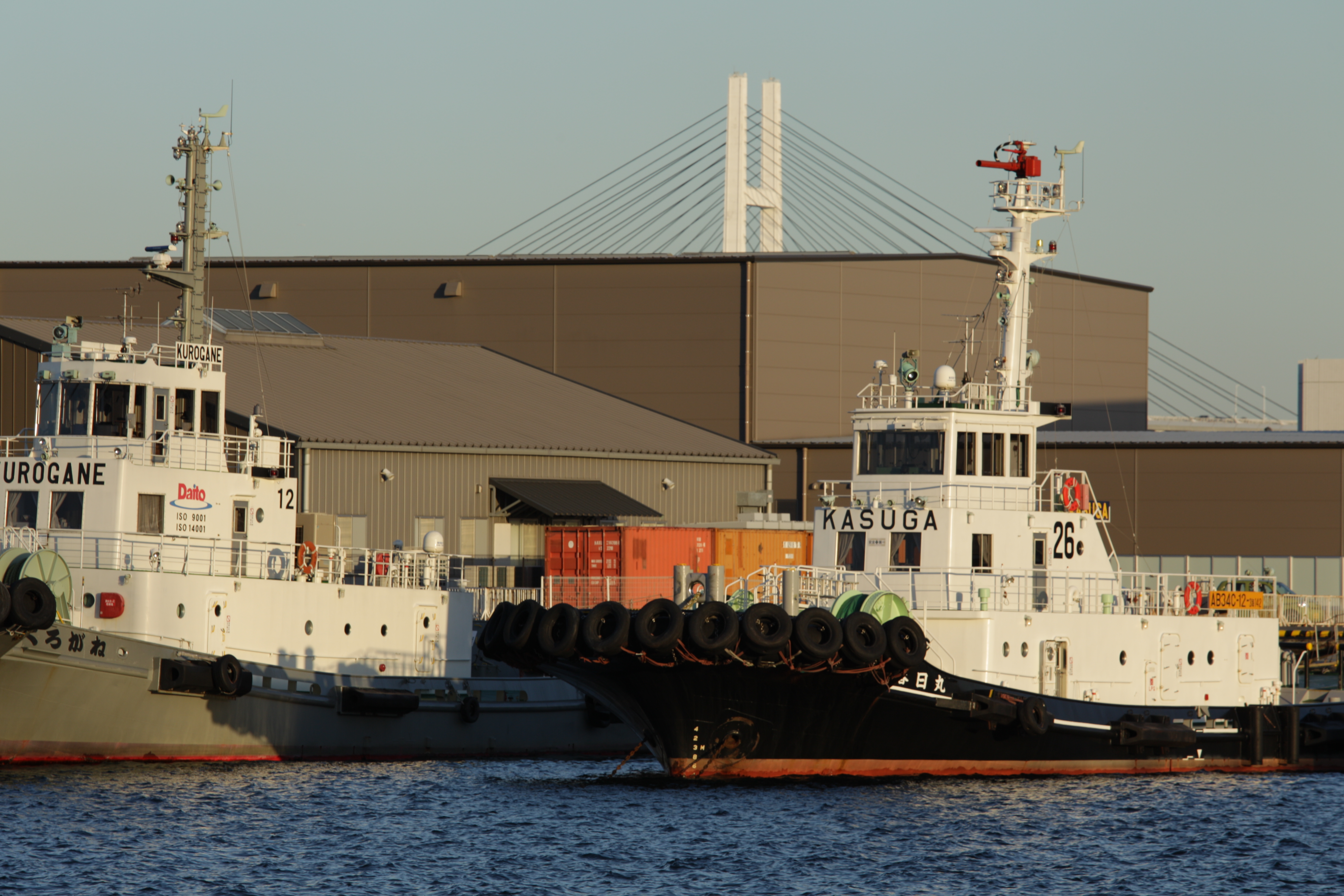 <b>EOS-1D Mark IV / EF 70-200mm F4 L IS USM / 4,896×3,264 / 1/200秒 / F8 / 0EV / ISO100 / マニュアル / WB:太陽光 / 200mm</b>