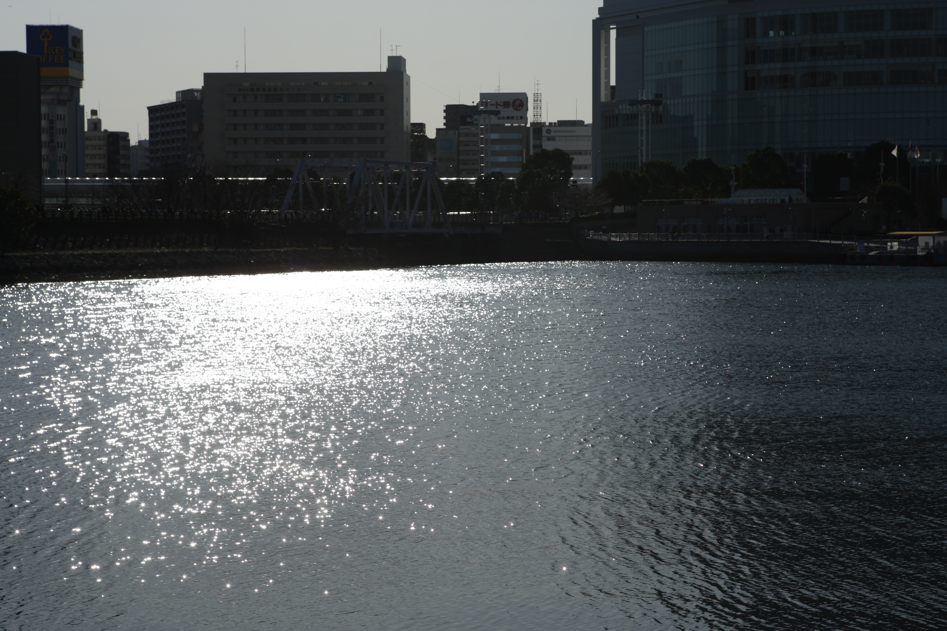 <b>EOS-1D Mark III / EF 24-70mm F2.8 L USM / 3,888×2,592 / 1/1,250秒 / F8 / 0EV / ISO100 / マニュアル / WB:太陽光 / 70mm</b>