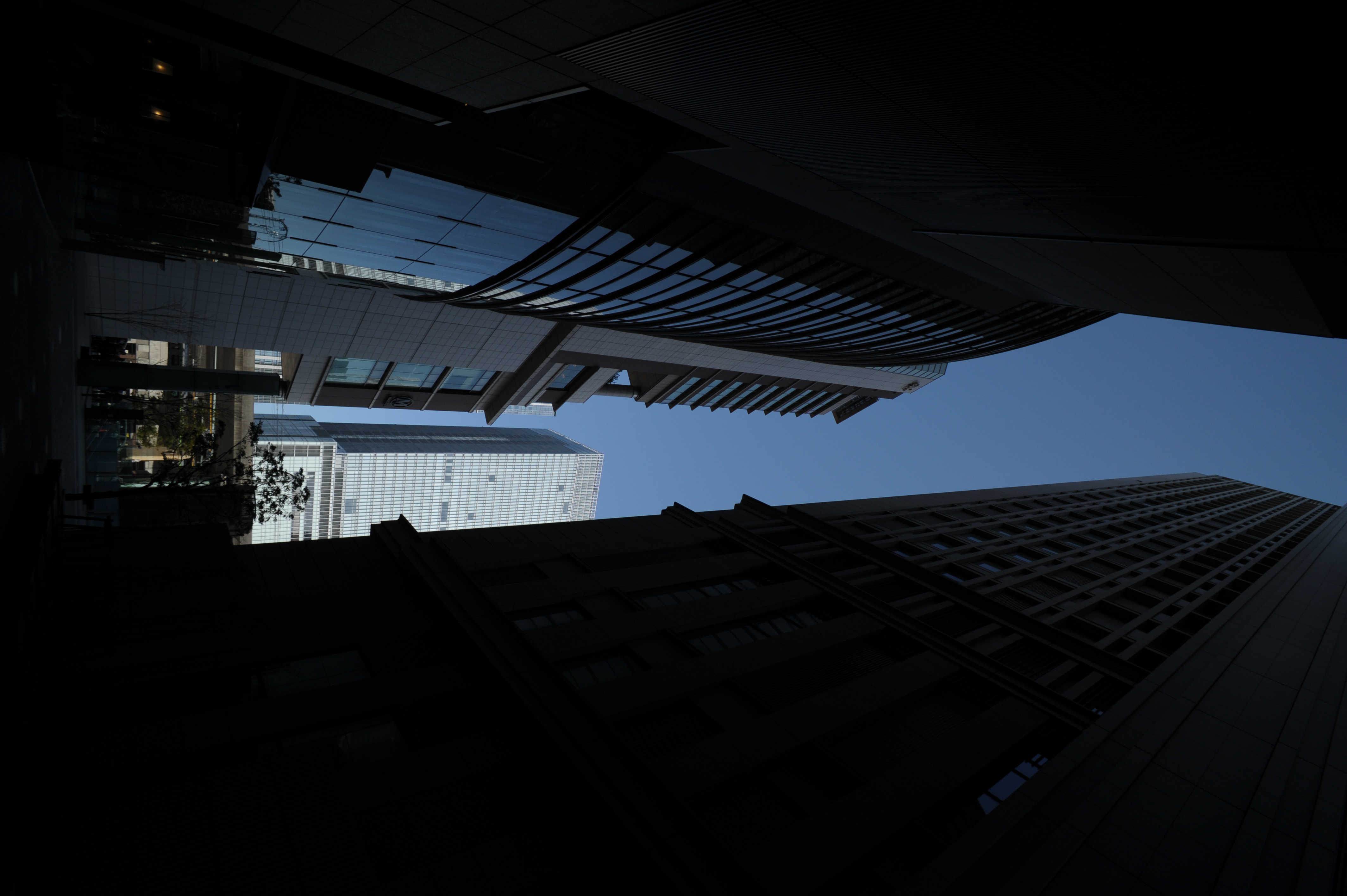 <b>AT-X 17mm F3.5 PRO / 4,256×2,832 / 1/1250秒 / F8 / -1EV / ISO400 / WB:晴天 / 17mm</b>