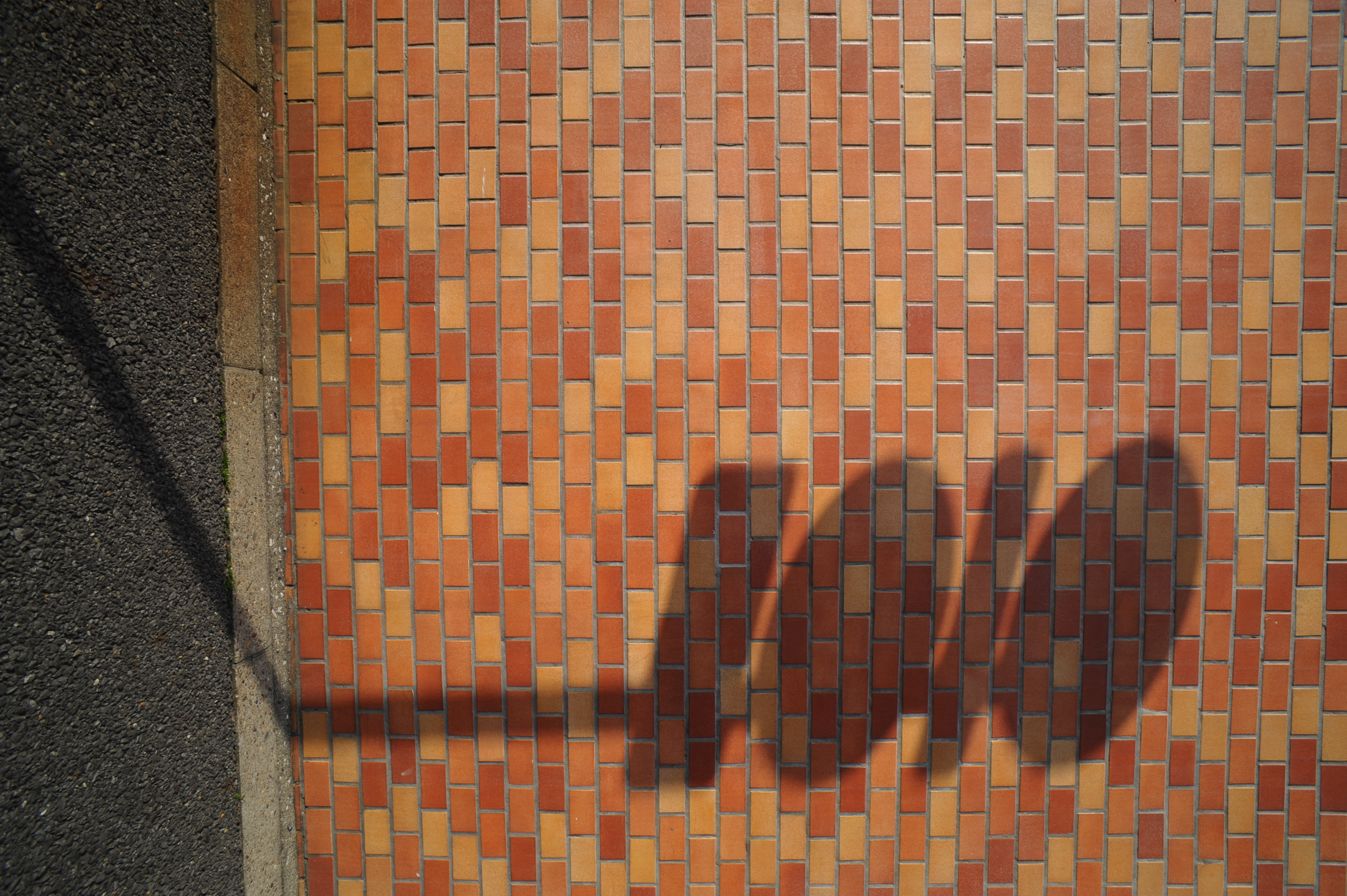 <b>AT-X 17mm F3.5 PRO / 4,256×2,832 / 1/320秒 / F8 / 0EV / ISO200 / WB:晴天 / 17mm</b>