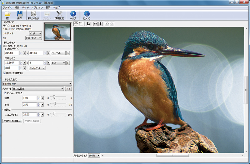 <b>PhotoZoom Pro 3</b>