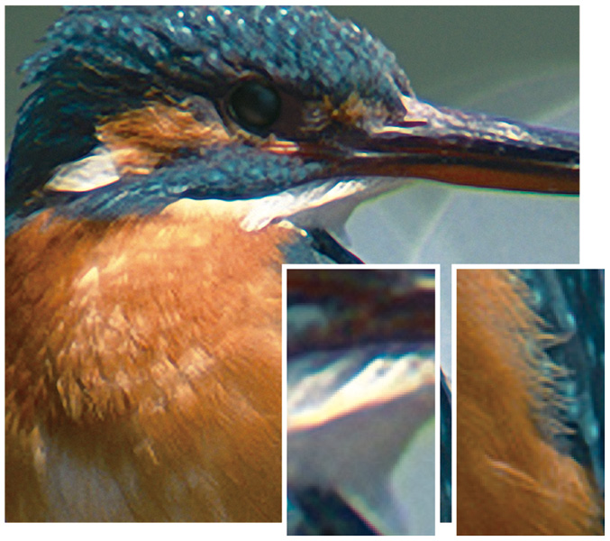 <b>S-Spline XL方式の拡大サンプル</b>