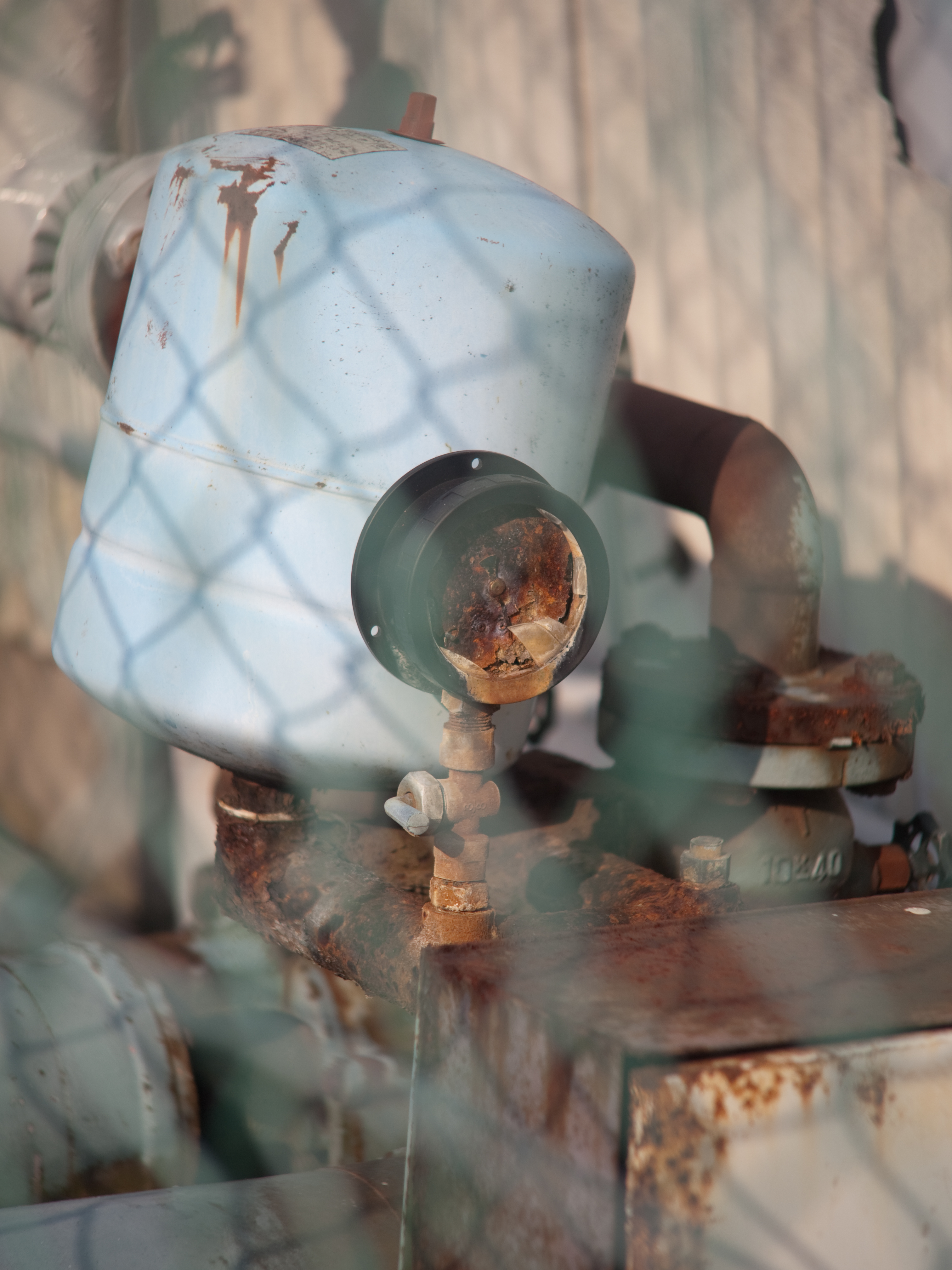 <b>E-P1 / ペンタックス110 70mm F2.8 / 4,032×3,034 / 1/1,600秒 / F2.8 / 0EV / ISO100 / WB:オート / 70mm</b>