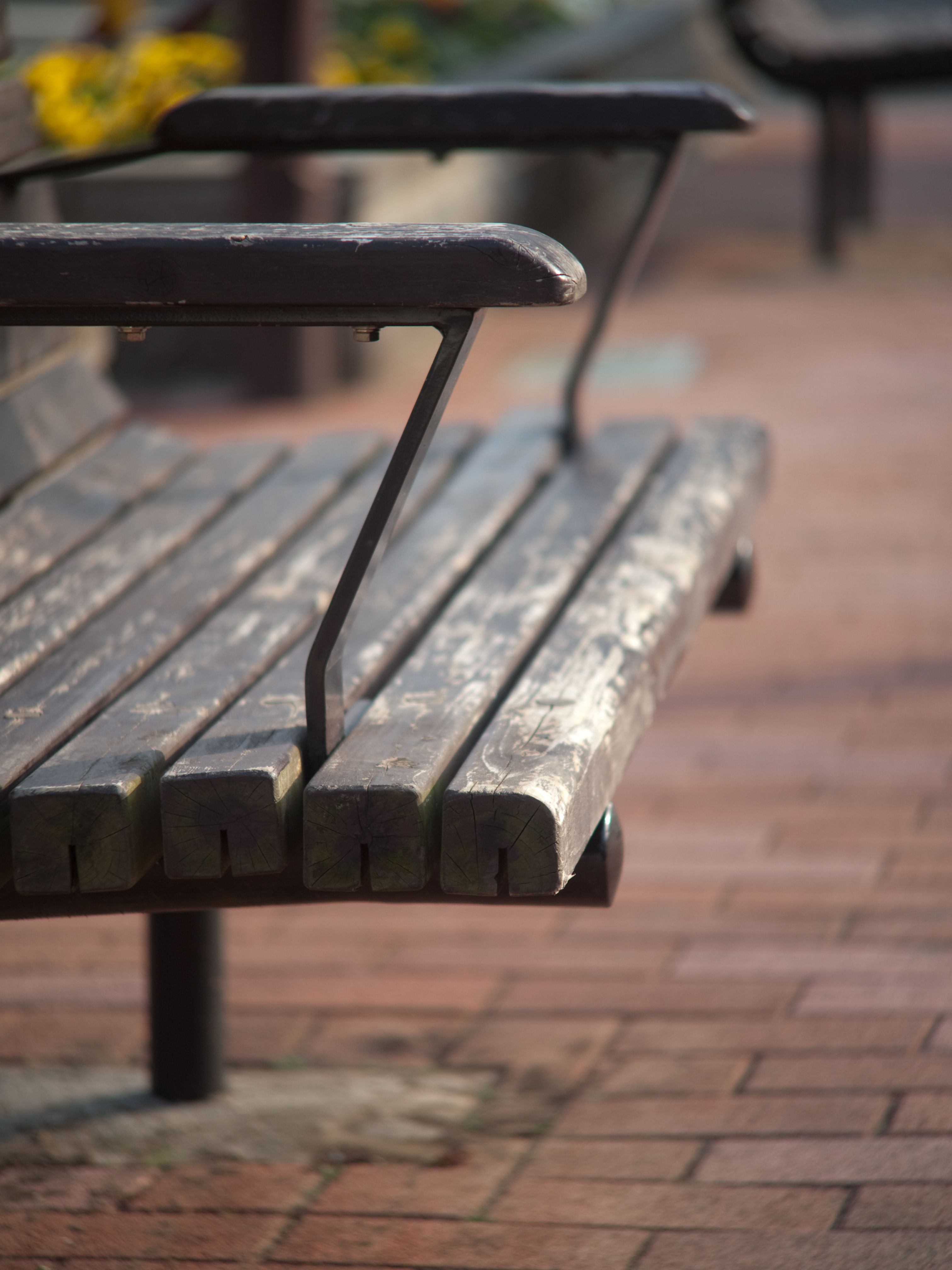 <b>E-P1 / ペンタックス110 70mm F2.8 / 4,032×3,034 / 1/500秒 / F2.8 / 0EV / ISO100 / WB:オート / 70mm</b>