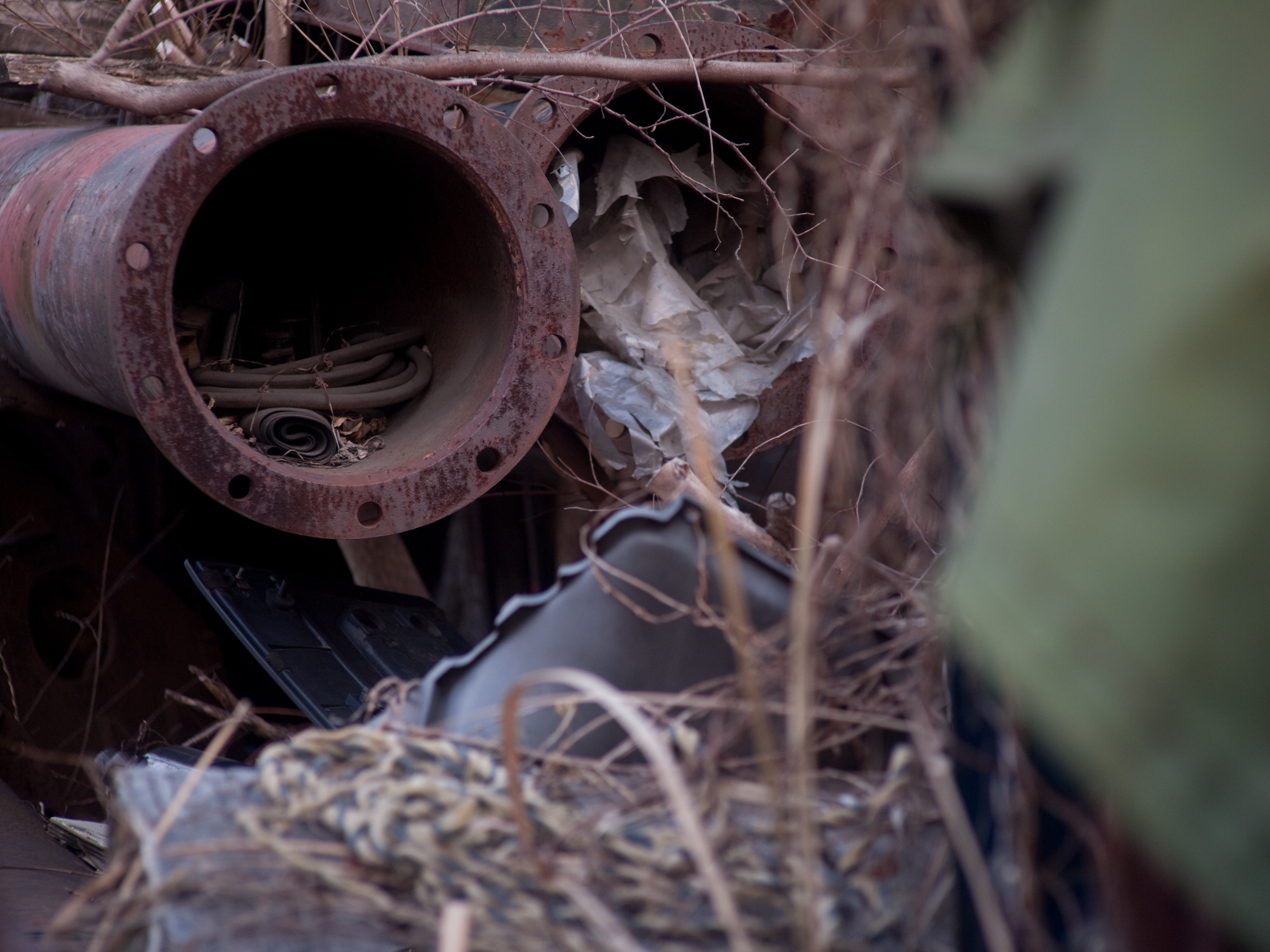 <b>E-P1 / ペンタックス110 70mm F2.8 / 4,032×3,034 / 1/320秒 / F2.8 / -0.7EV / ISO200 / WB:オート / 70mm</b>