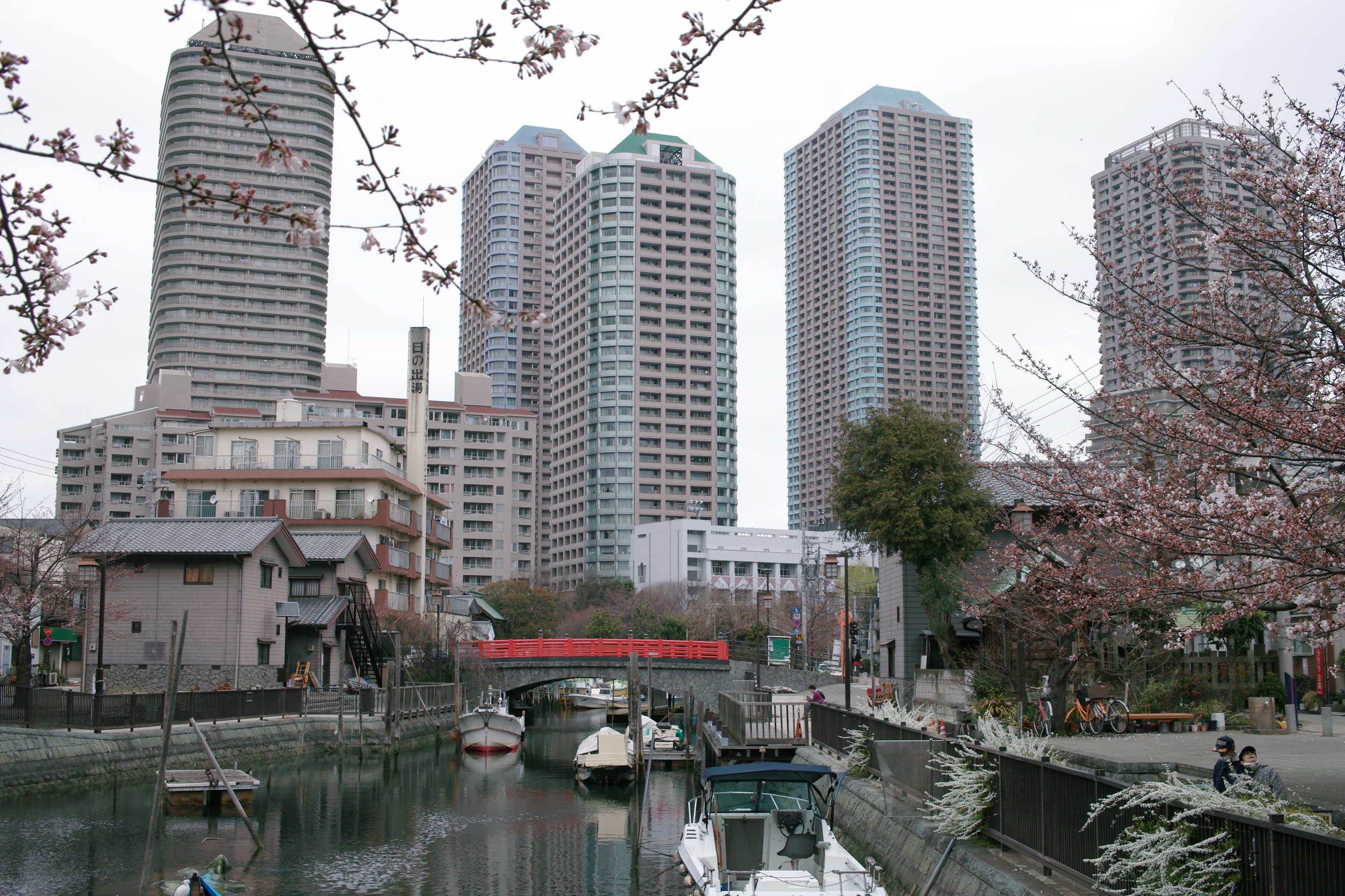 <b>スタンダード</b>