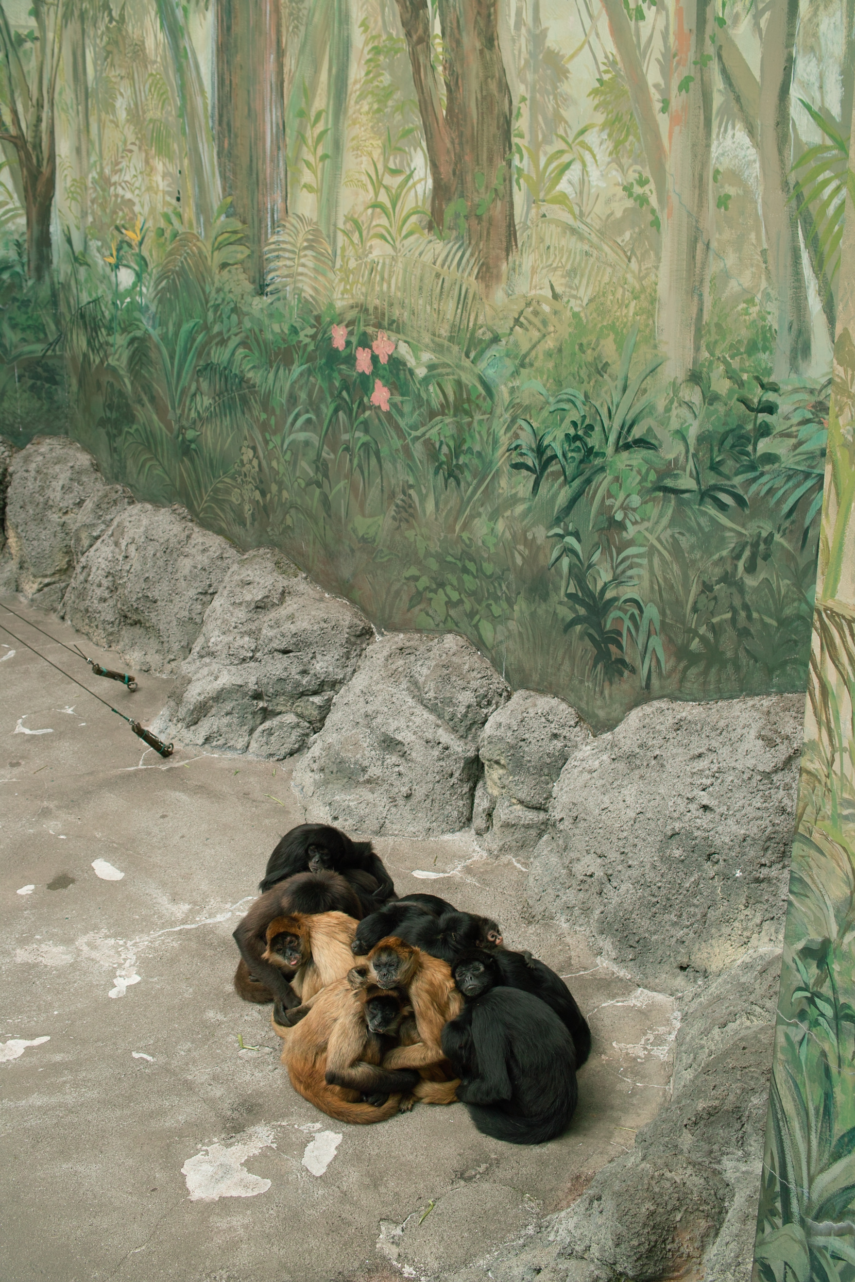 <b>DP2s / 約1.9MB / 1,760×2,640 / 1/160秒 / F5 / +0.3EV / ISO100 / WB:晴れ</b>