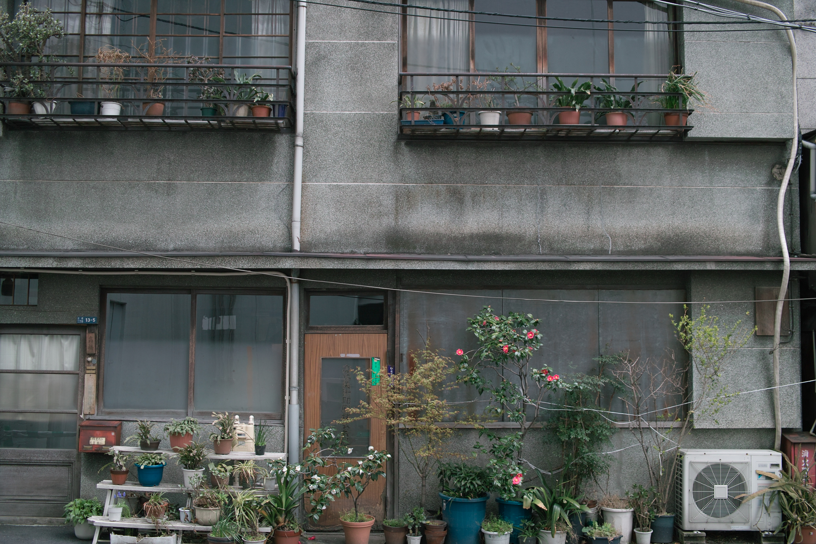 <b>DP2s / 約1.8MB / 2,640×1,760 / 1/60秒 / F3.2 / -0.7EV / ISO100 / WB:オート</b>