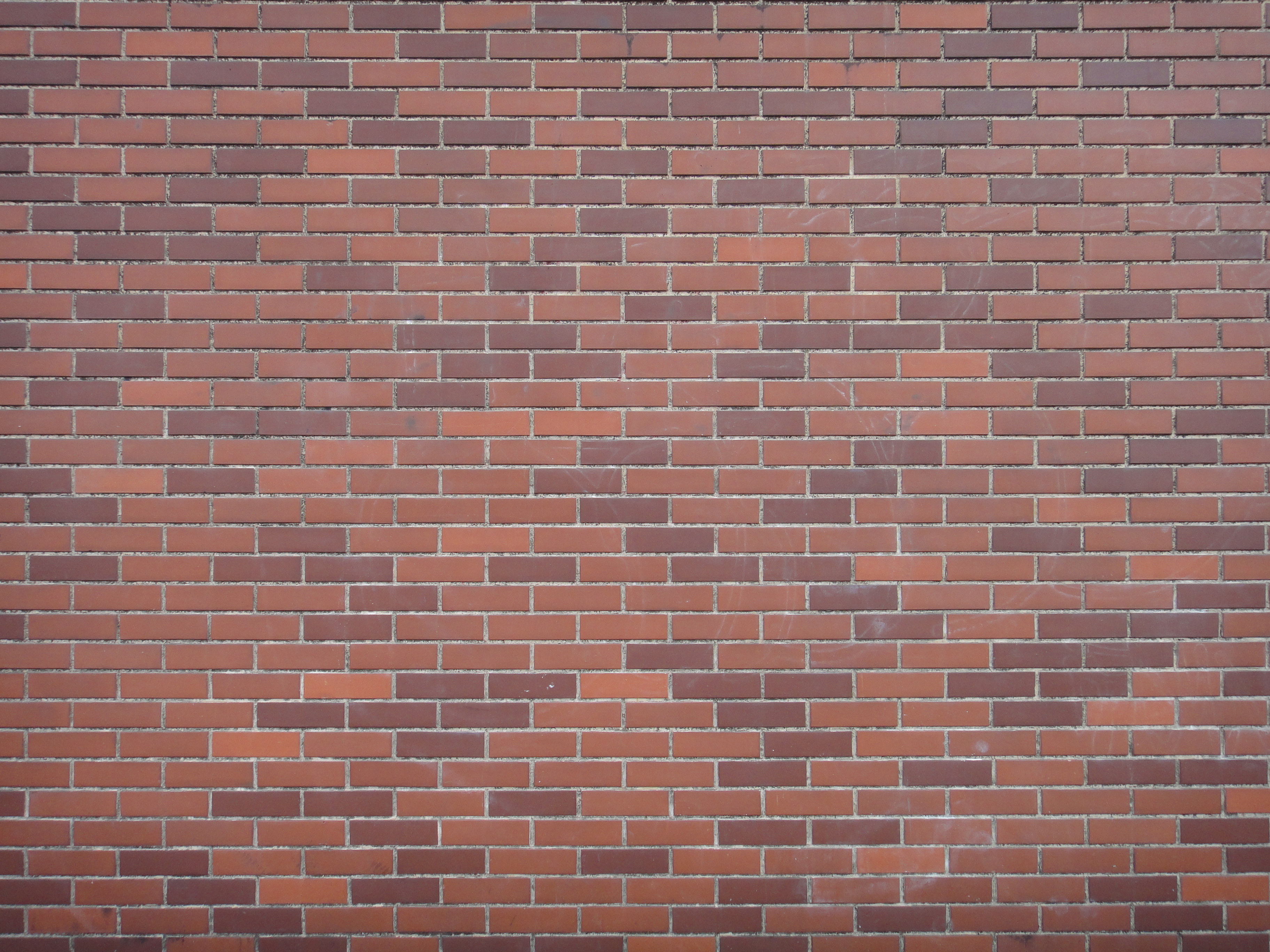 <b>広角端<br>DSC-TX7 / 約4.1MB / 3,648×2,736 / 1/80秒 / F3.5 / 0EV / ISO125 / WB:オート / 4.4mm</b>