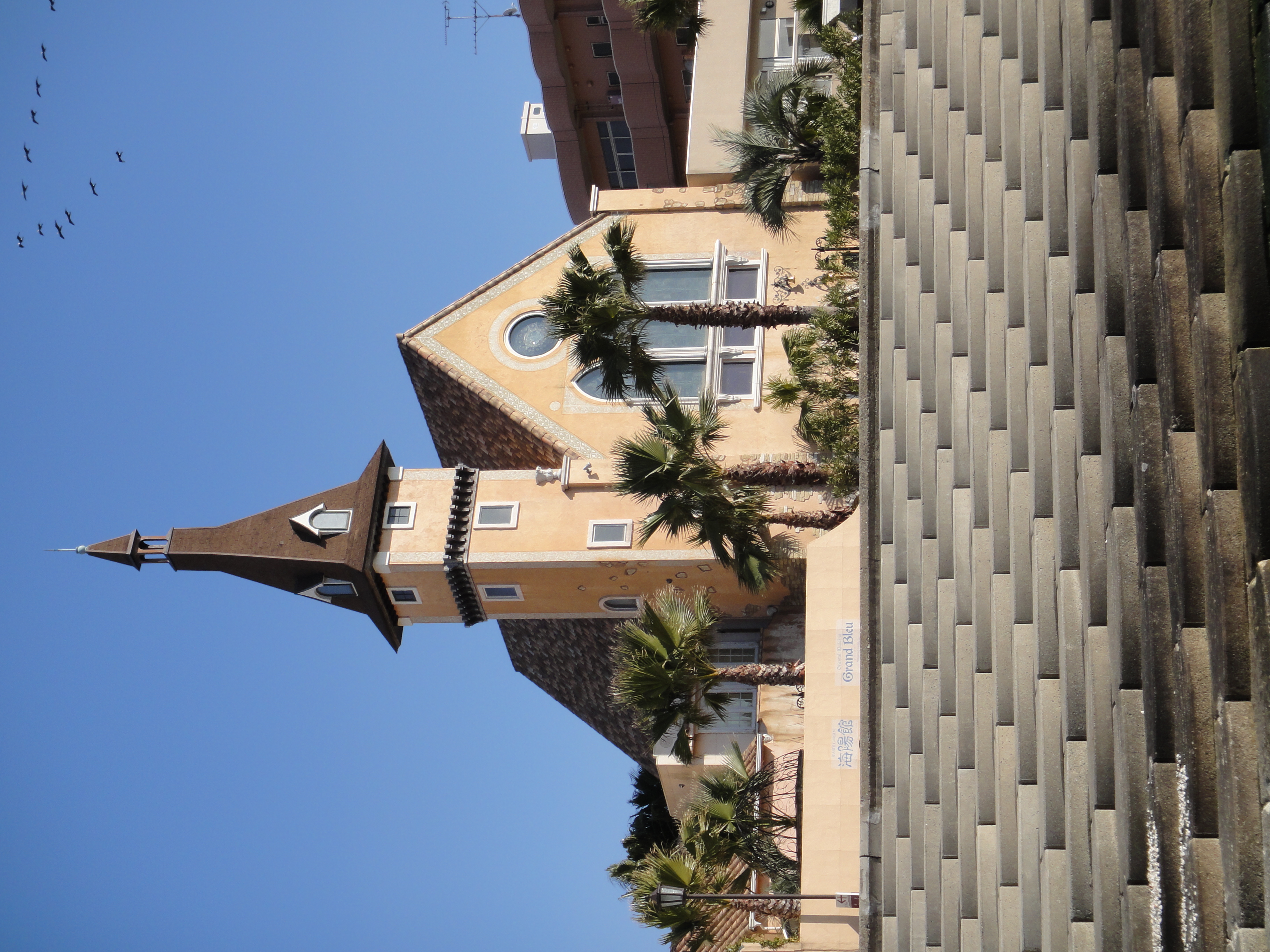 <b>DSC-TX7 / 約3.9MB / 2,736×3,648 / 1/800秒 / F5 / 0EV / ISO125 / WB:オート / 11.2mm</b>