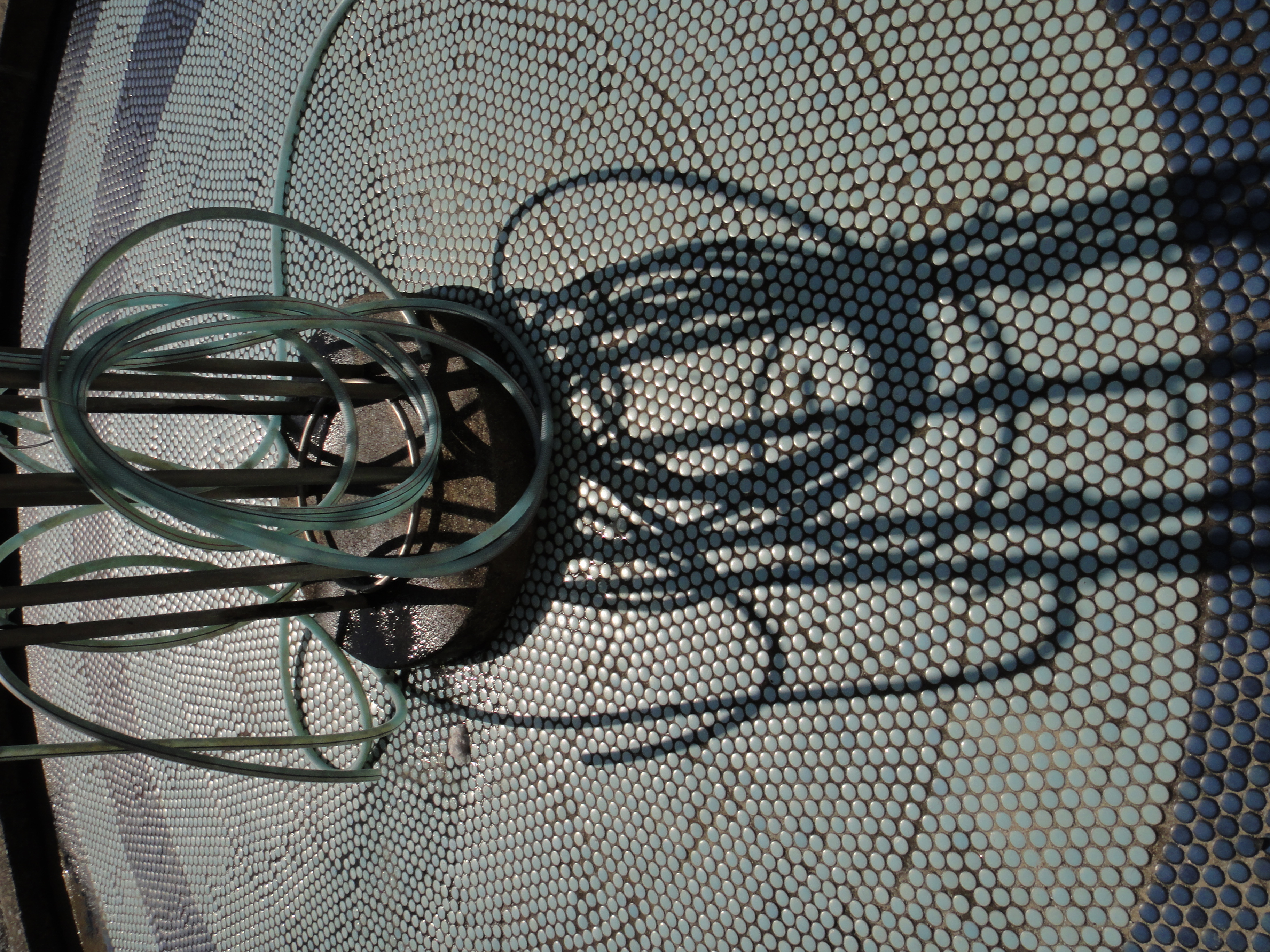 <b>DSC-TX7 / 約4.3MB / 2,736×3,648 / 1/1,250秒 / F6.3 / -1EV / ISO125 / WB:オート / 6.1mm</b>