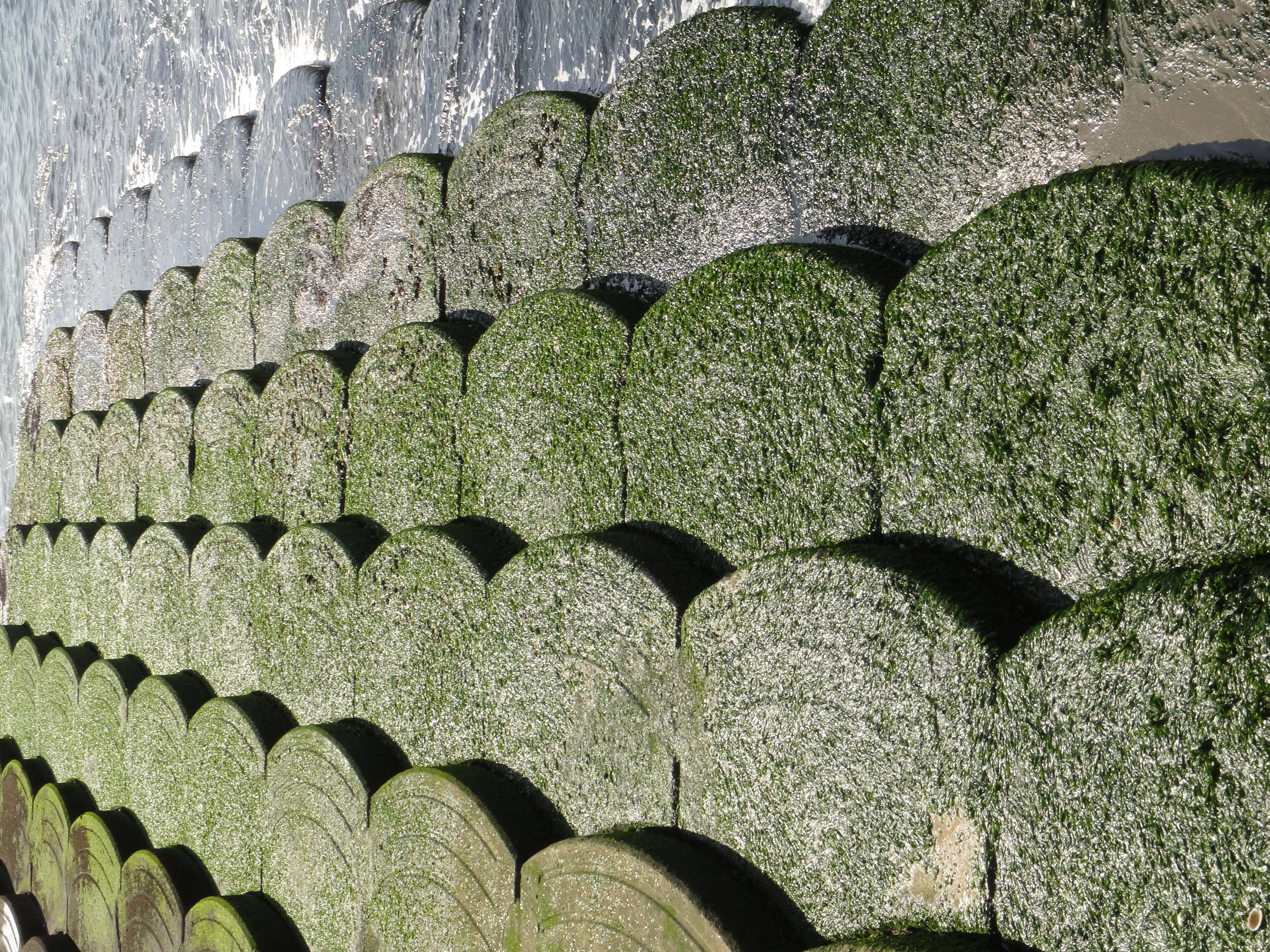 <b>DSC-TX7 / 約4.4MB / 2,736×3,648 / 1/250秒 / F7.1 / 0EV / ISO125 / WB:オート / 11mm</b>