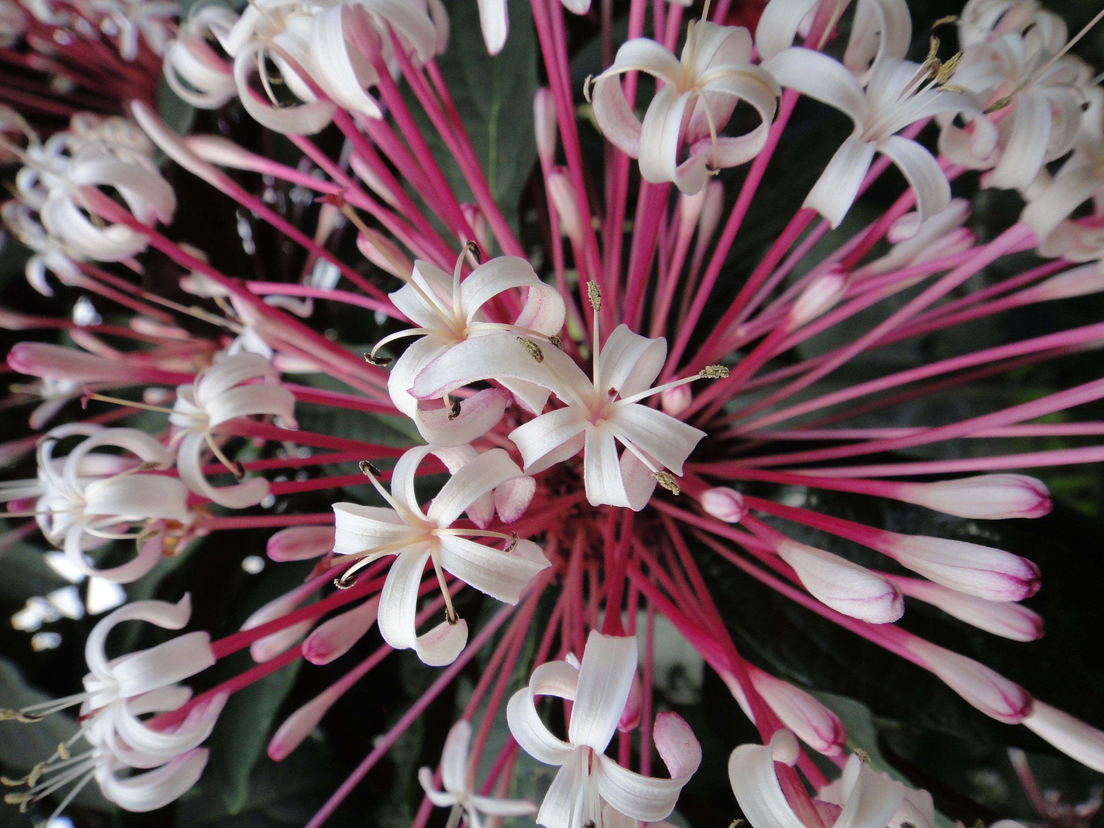 <b>DSC-TX7 / 約4.0MB / 2,736×3,648 / 1/80秒 / F3.5 / -0.3EV / ISO125 / WB:オート / 4.4mm</b>