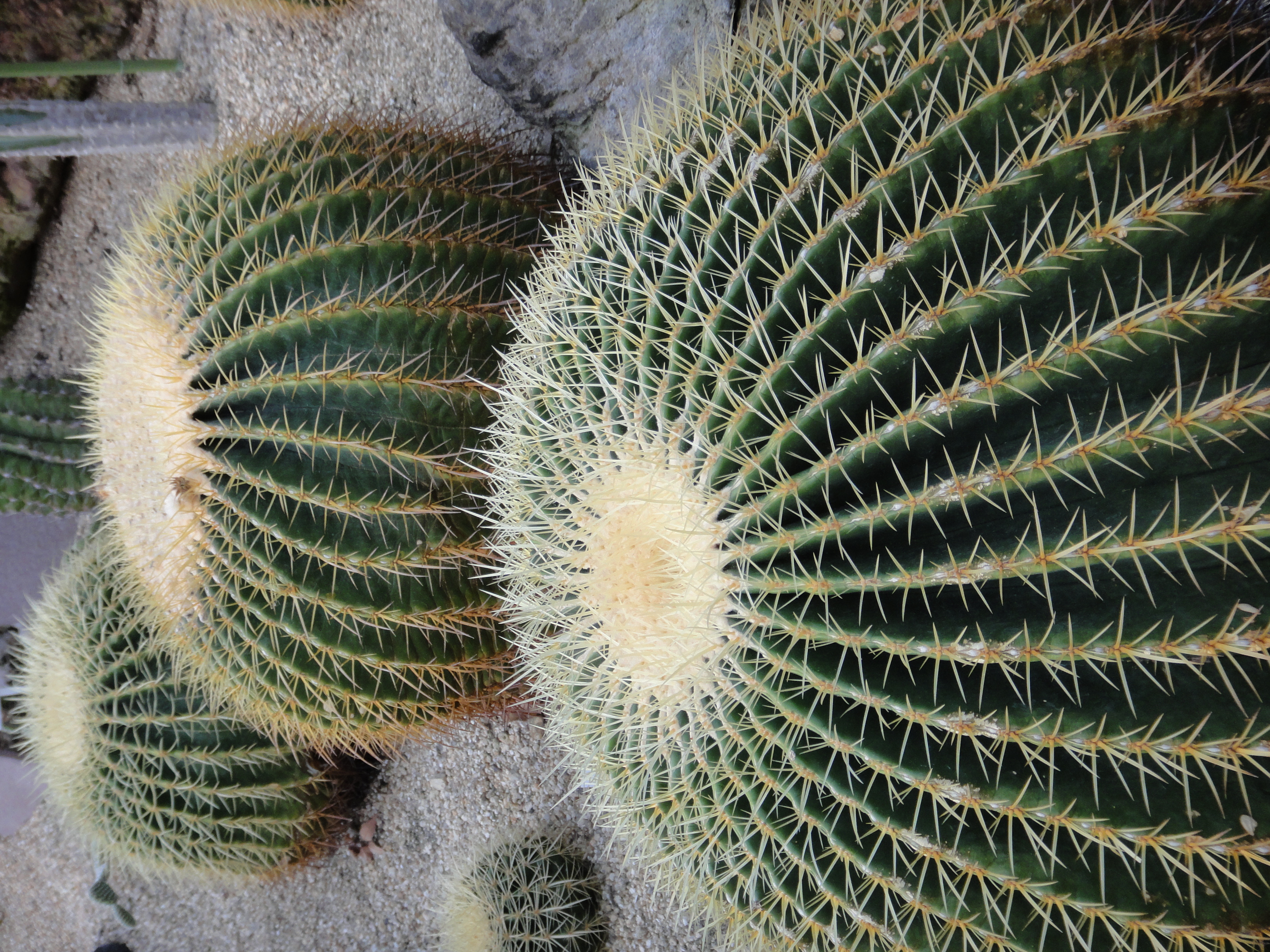 <b>DSC-TX7 / 約4.3MB / 2,736×3,648 / 1/60秒 / F4 / -0.3EV / ISO125 / WB:オート / 10.5mm</b>