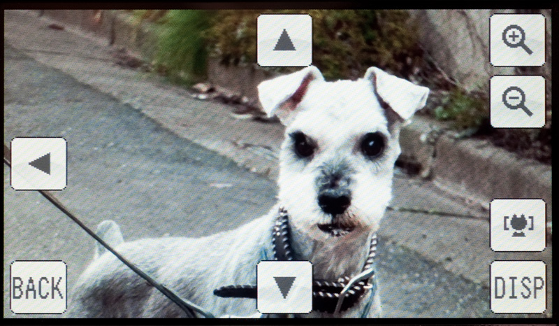 <b>ペットもちゃんと顔中心の拡大表示が可能。あたりまえといえばあたりまえだが、ちょっと感動してしまう</b>