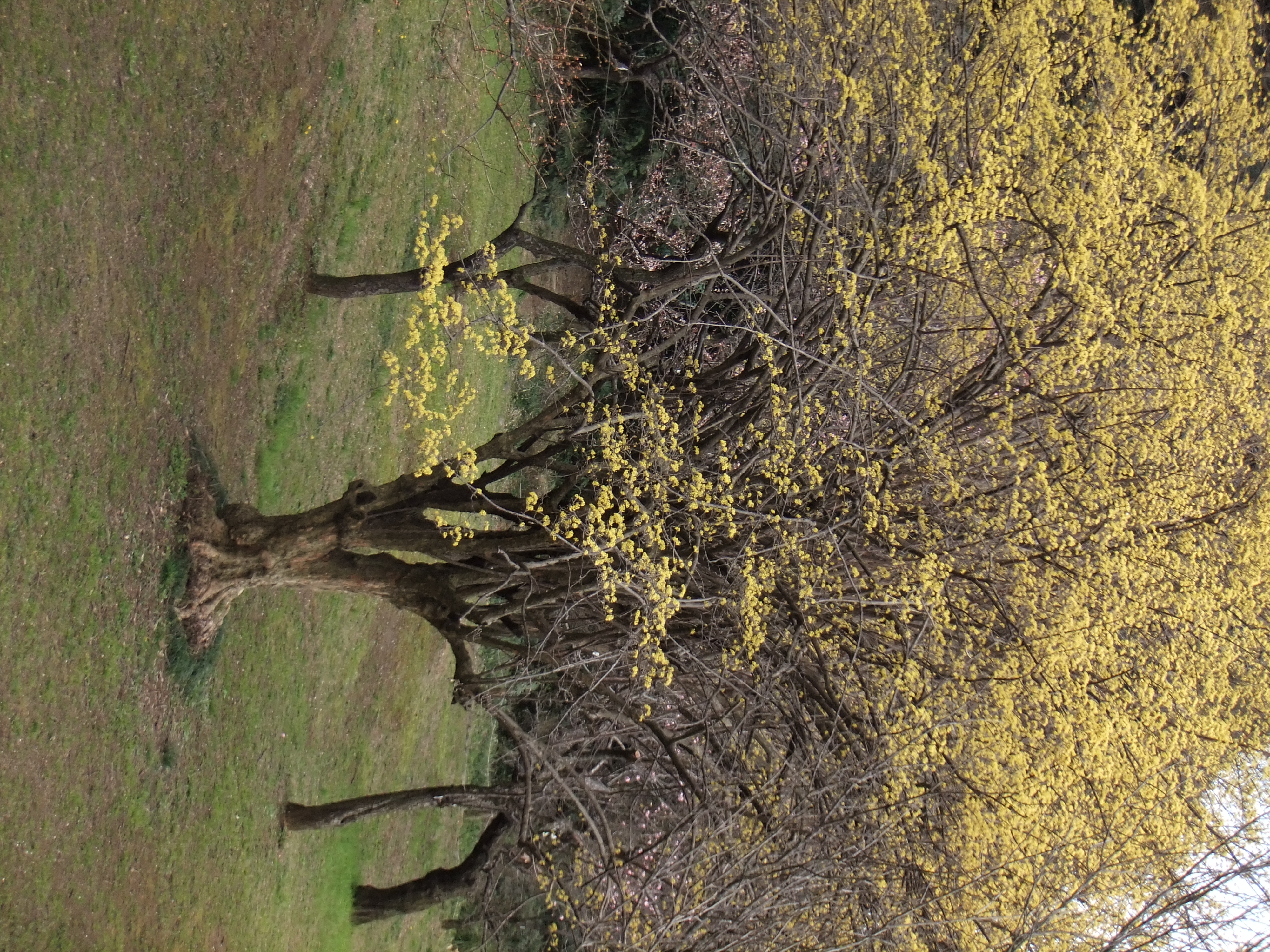 <b>PROVIA/スタンダード</b>