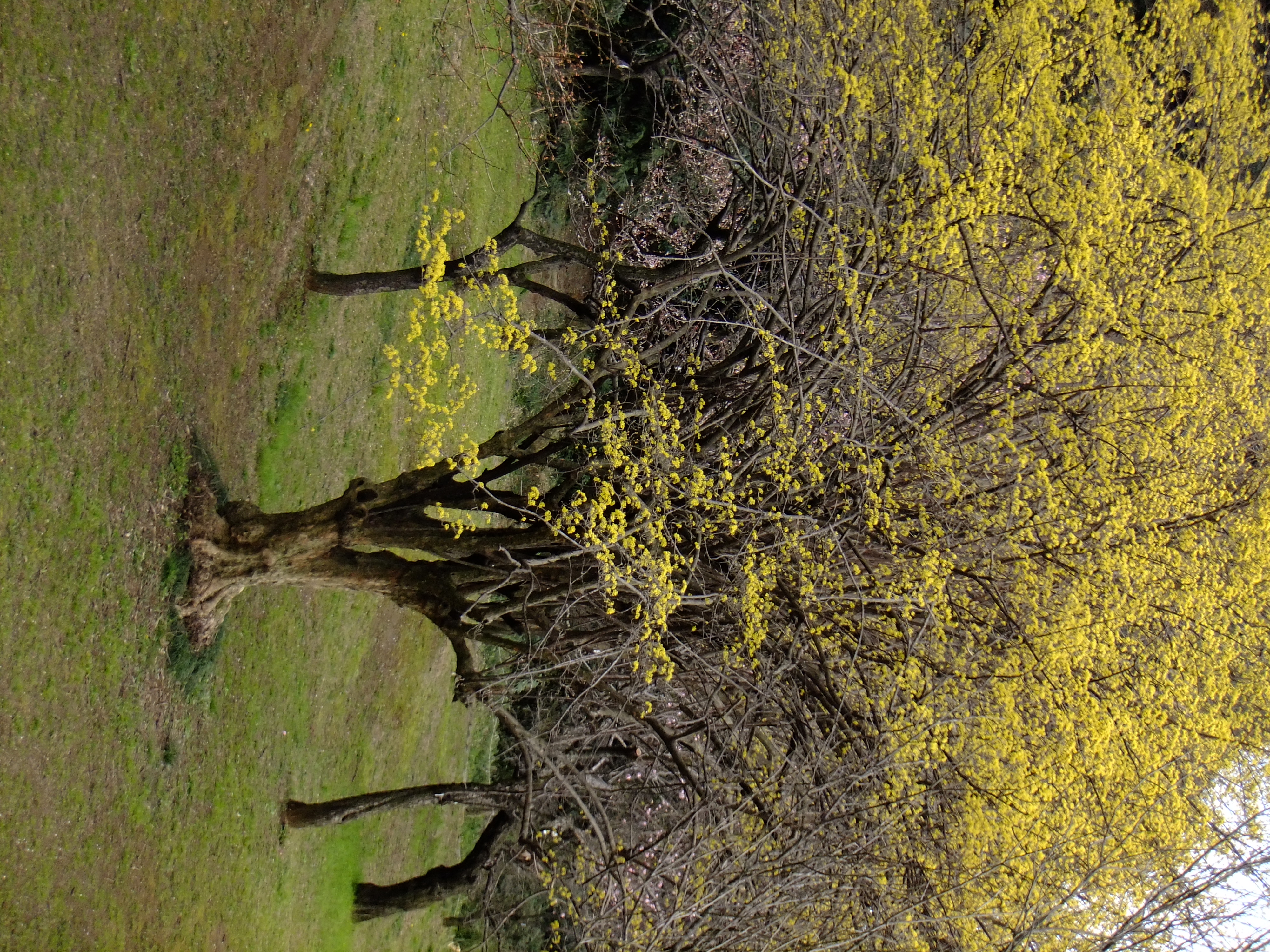 <b>VELVIA/ビビッド</b>