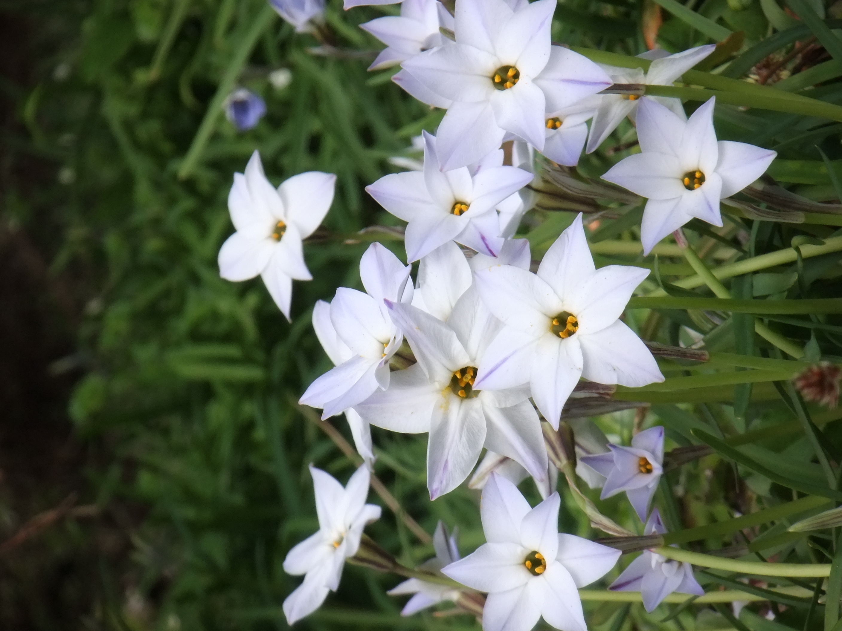 <b>こちらは「EXR AUTO」で撮ったもの。「ダイナミックレンジ優先」モードになっている<br>FinePix Z700EXR / 2,816×2,112 / 1/70秒 / F8 / 0EV / ISO100（Dレンジ：200％） / WB：オート / 32mm（175mm相当）</b>