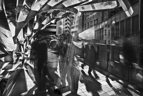 <b>（c）所幸則</b>