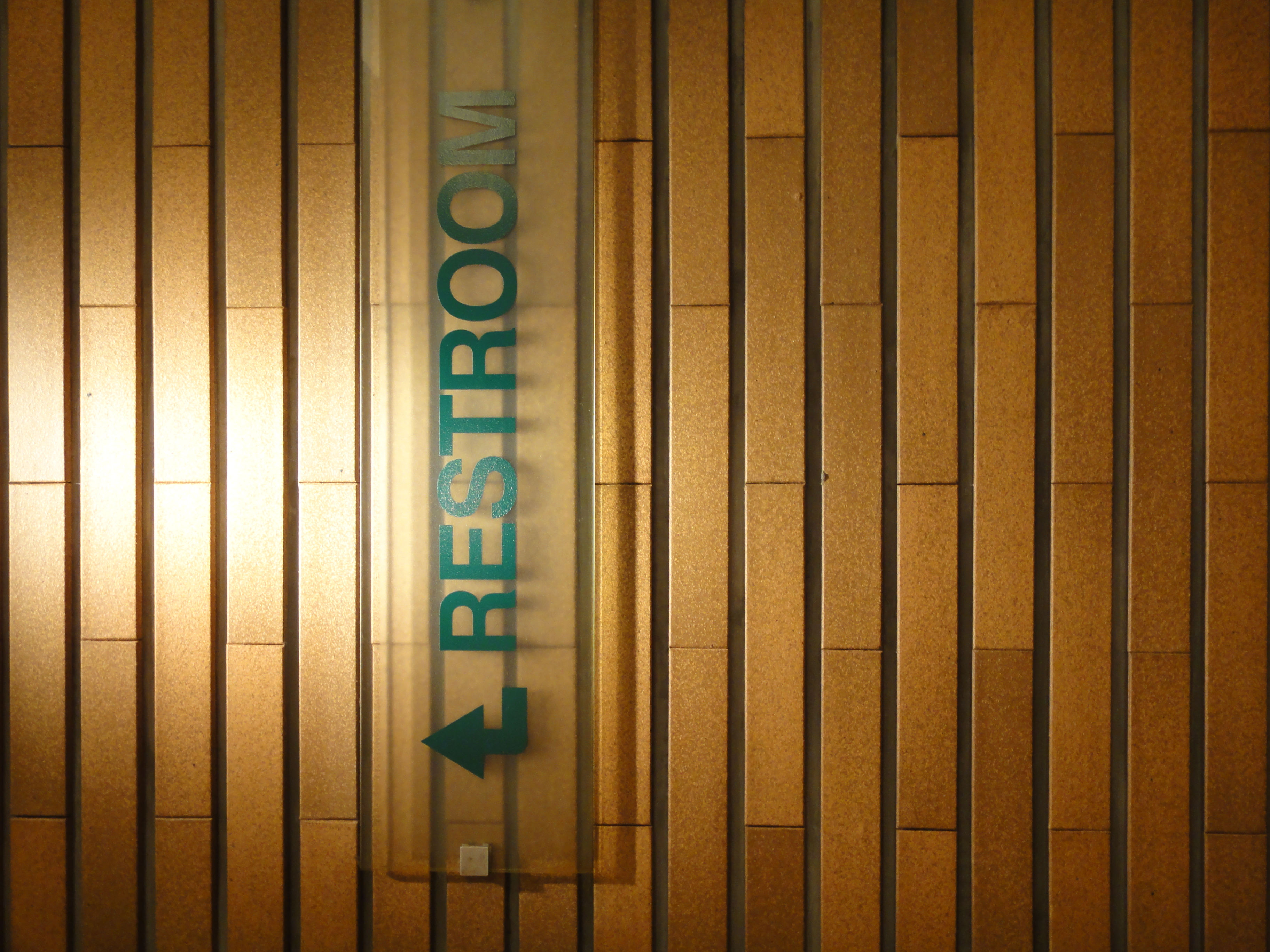 <b>DSC-TX5 / 2,736×3,648 / 1/13秒 / F3.5 / 0EV / ISO200 / プログラム / WB:オート / 7.5mm</b>