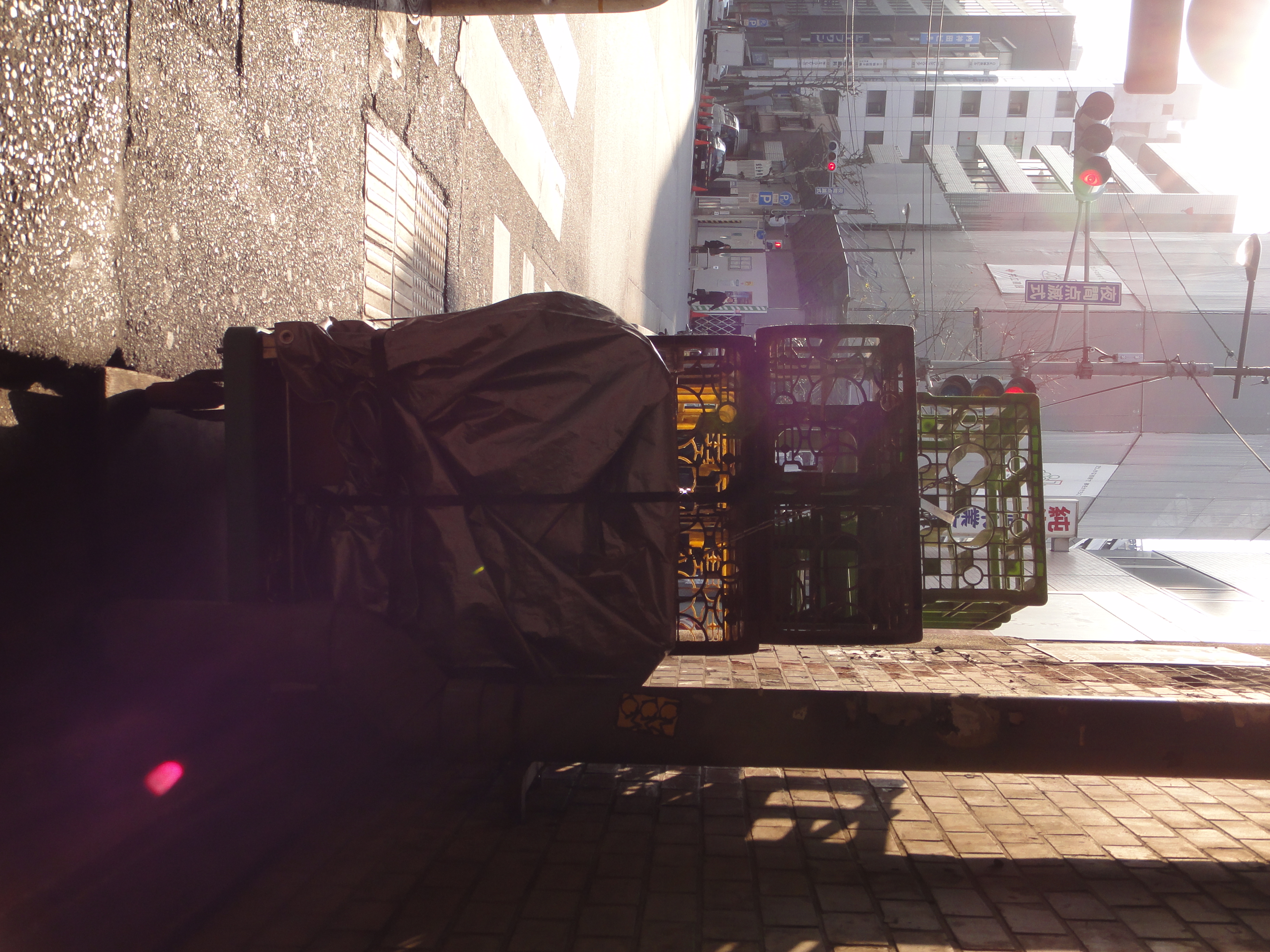 <b>逆光補正HDR OFF<br>DSC-TX5 / 2,736×3,648 / 1/250秒 / F4.5 / -0.3EV / ISO125 / プログラム / WB:オート / 6.8mm</b>