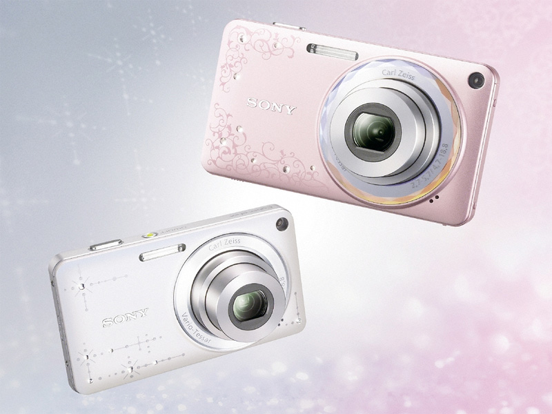 <b>サイバーショットDSC-W350D</b>