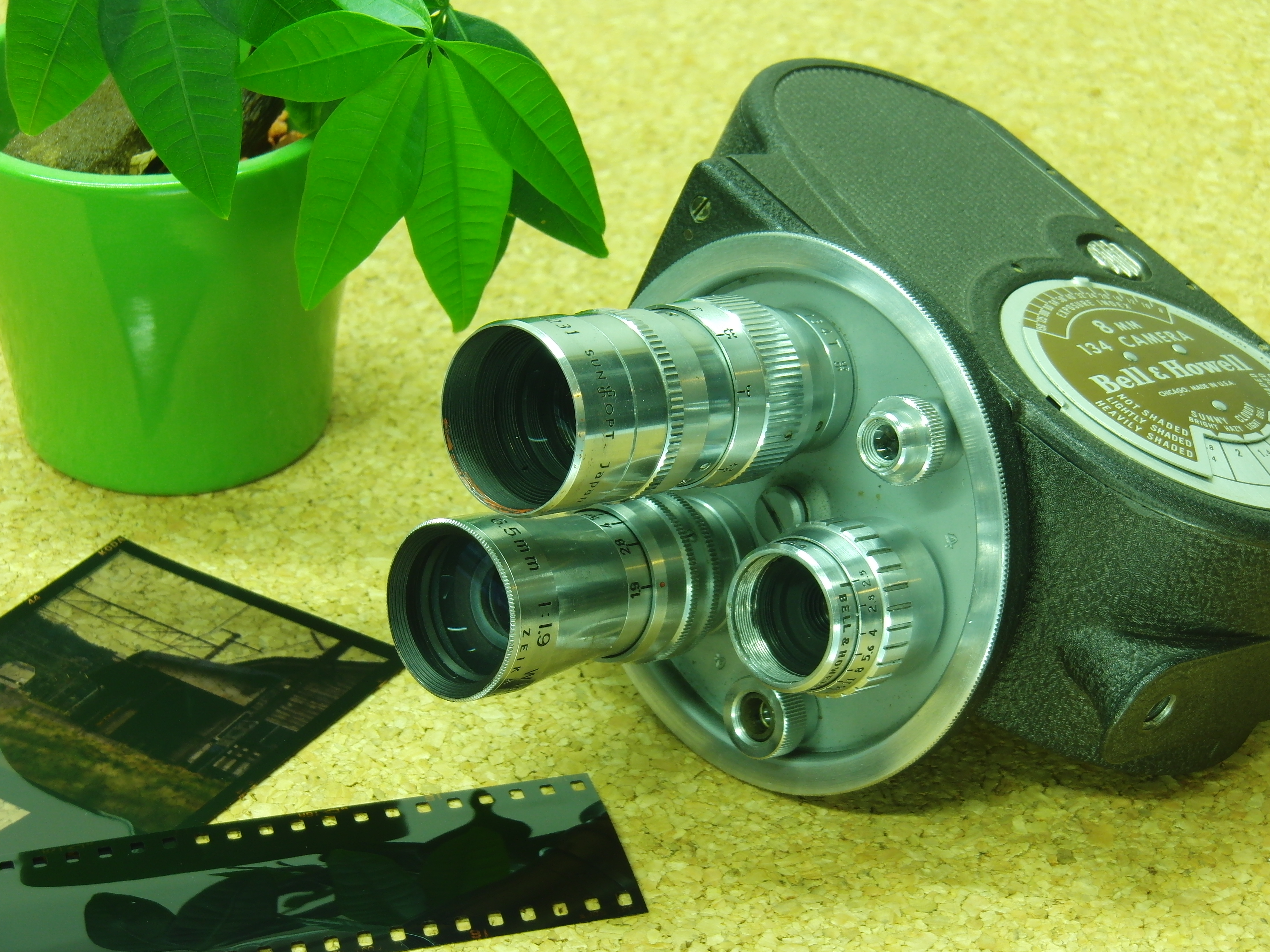 <b>緑<br>EX-FH100 / 約4.6MB / 3,648×2,736 / 1/2.5秒 / F4.8 / +0.3EV / ISO100 / WB:昼白色蛍光灯 / 16mm</b>