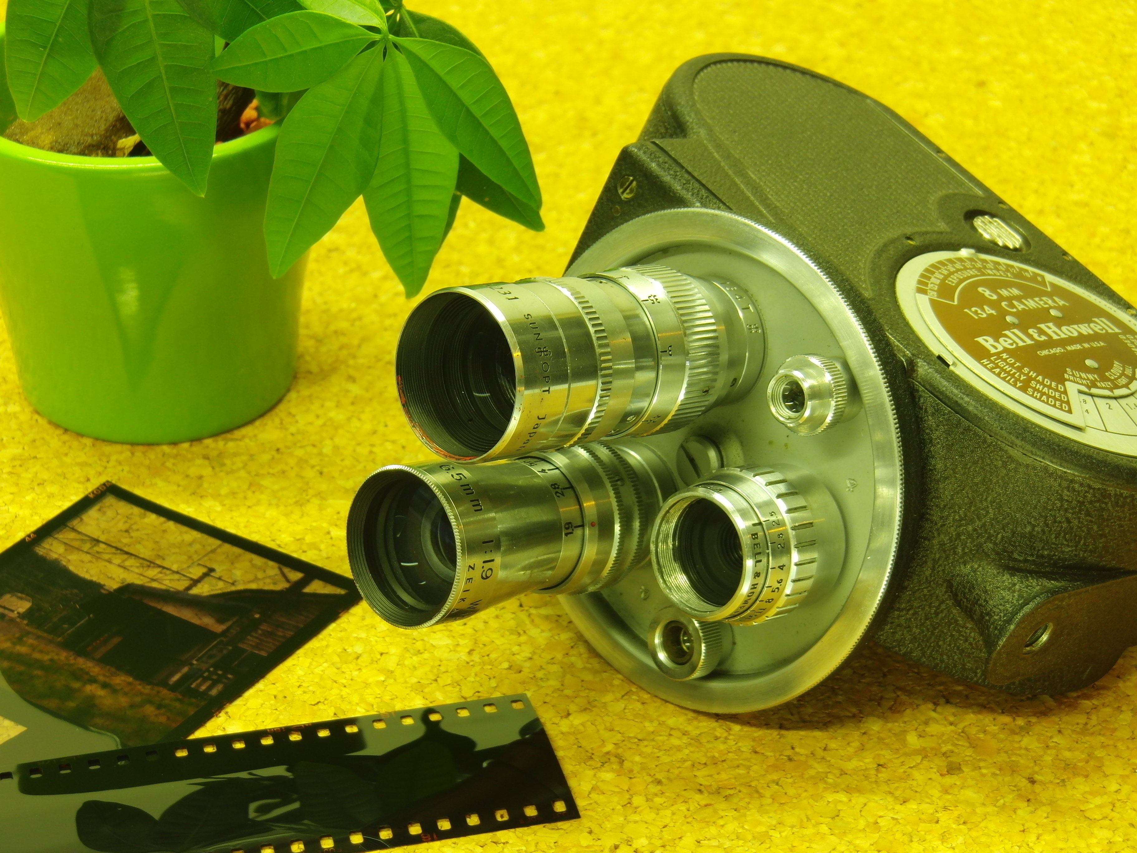 <b>黄<br>EX-FH100 / 約4.5MB / 3,648×2,736 / 1/2.5秒 / F4.8 / +0.3EV / ISO100 / WB:昼白色蛍光灯 / 16mm</b>