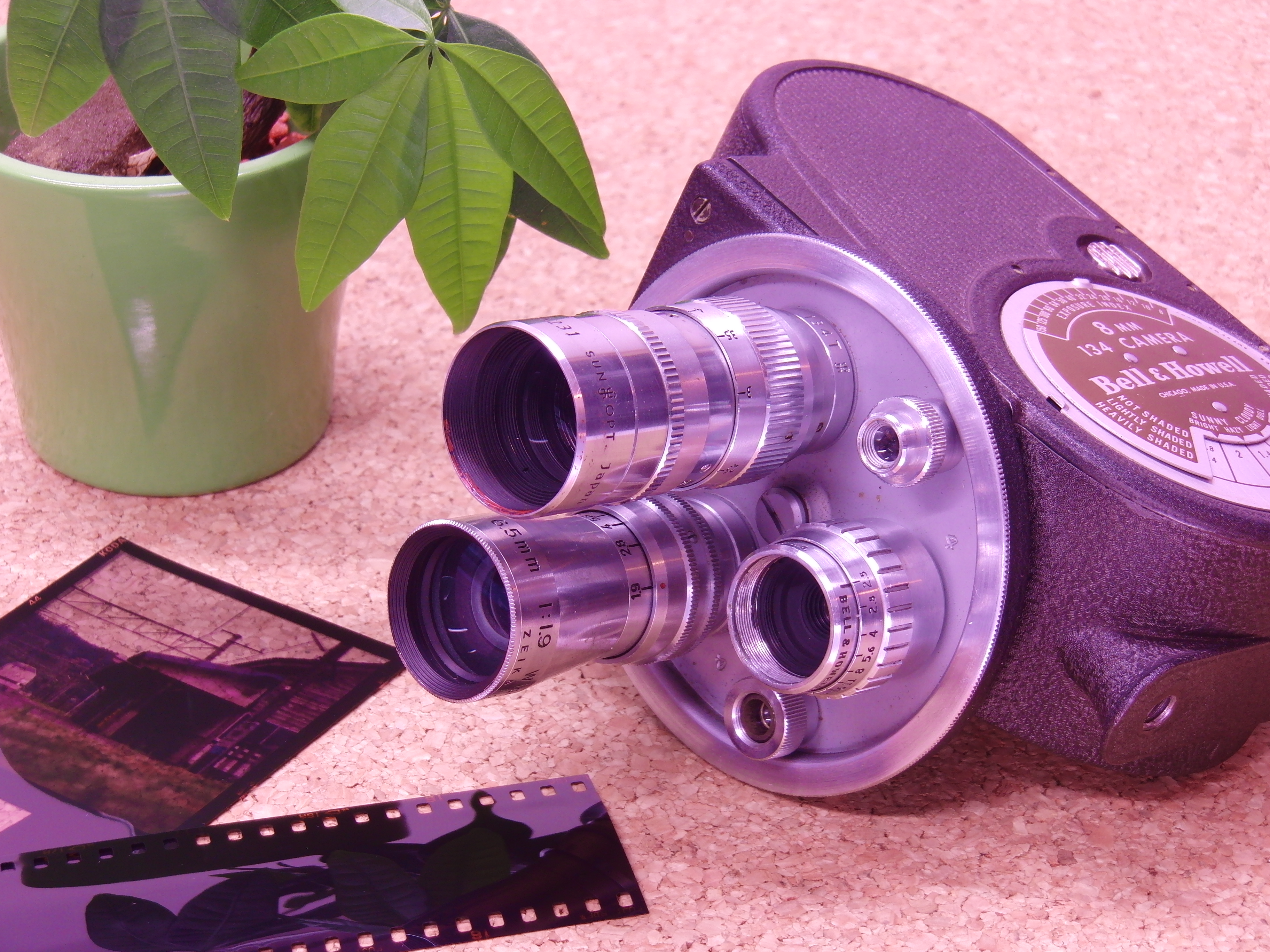 <b>ピンク<br>EX-FH100 / 約4.9MB / 3,648×2,736 / 1/2.5秒 / F4.8 / +0.3EV / ISO100 / WB:昼白色蛍光灯 / 16mm</b>