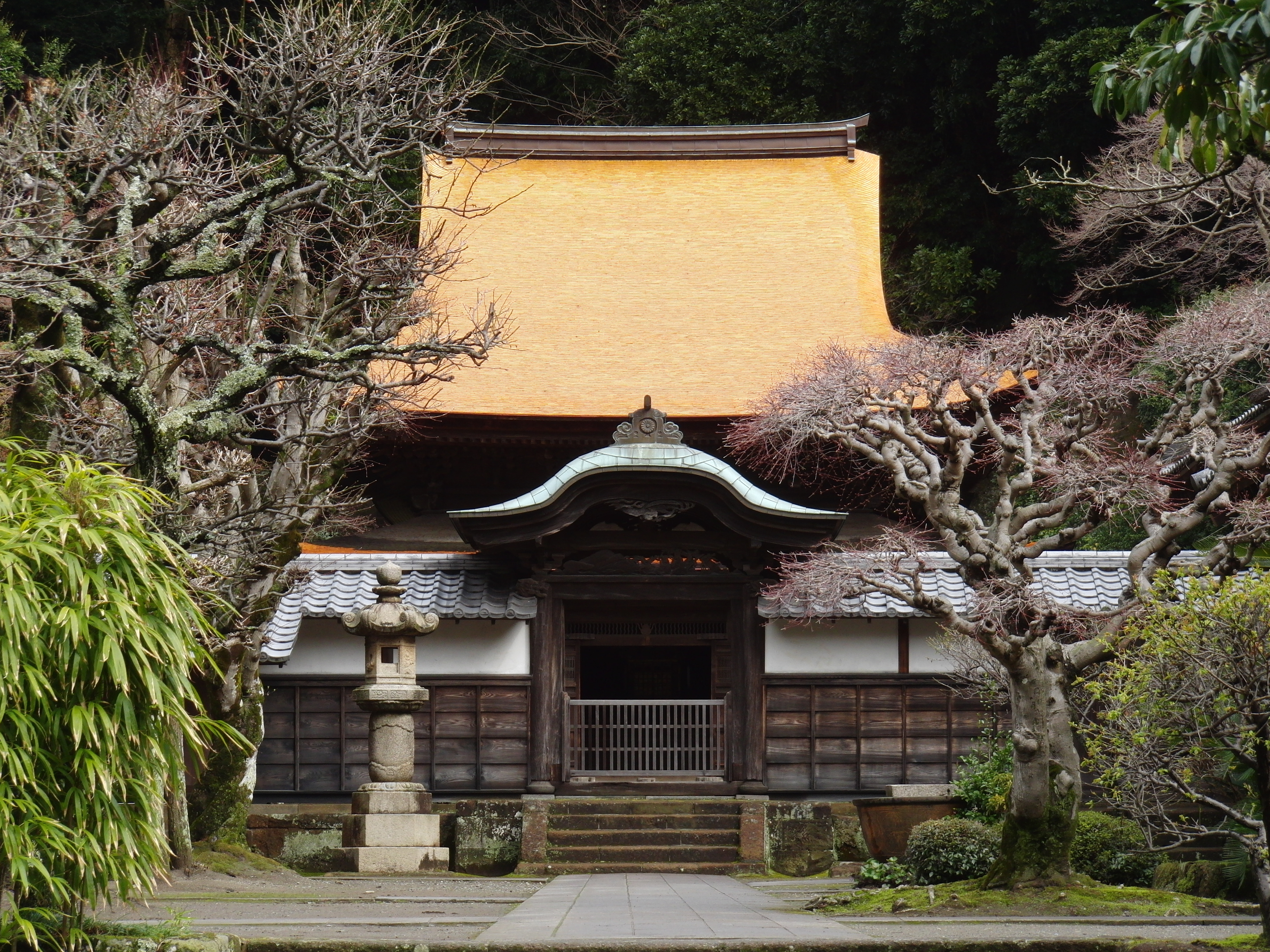 <b>EX-FH100 / 約7.0MB / 3,648×2,736 / 1/125秒 / F5 / -0.3EV / ISO100 / WB:曇天 / 18.8mm</b>