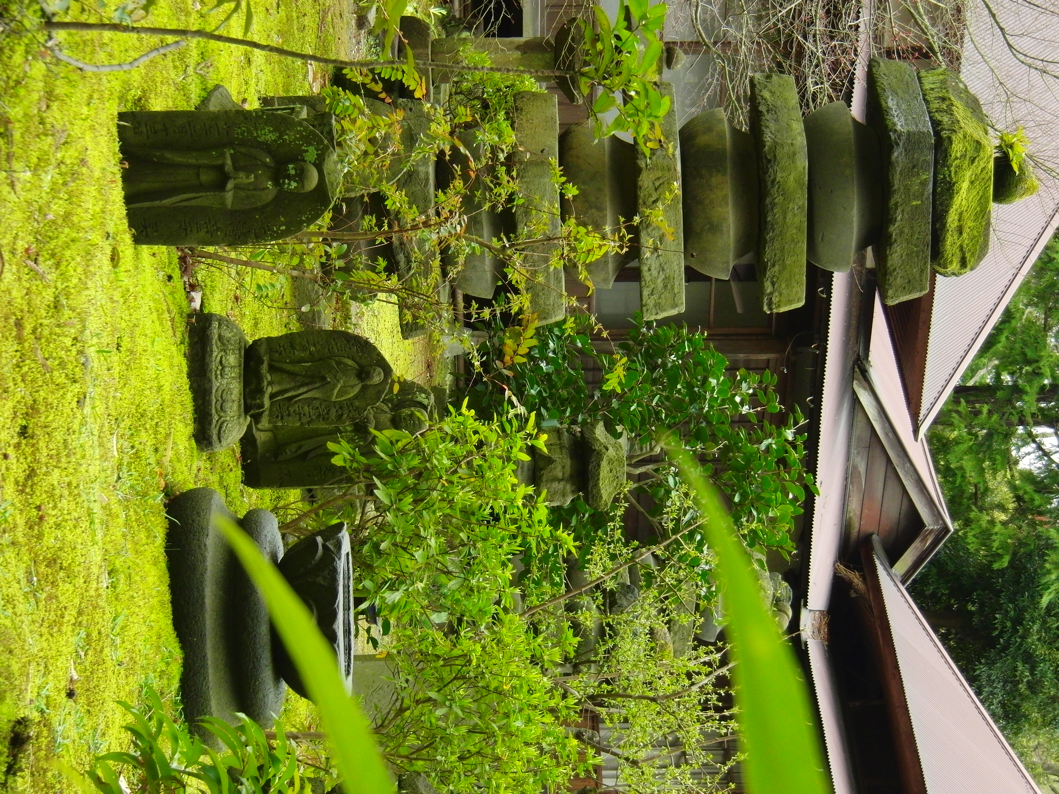 <b>EX-FH100 / 約7.6MB / 2,736×3,648 / 1/60秒 / F4.4 / 0EV / ISO250 / WB:太陽光 / 11.6mm</b>