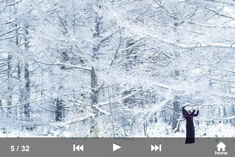 <b>映像操作画面</b>