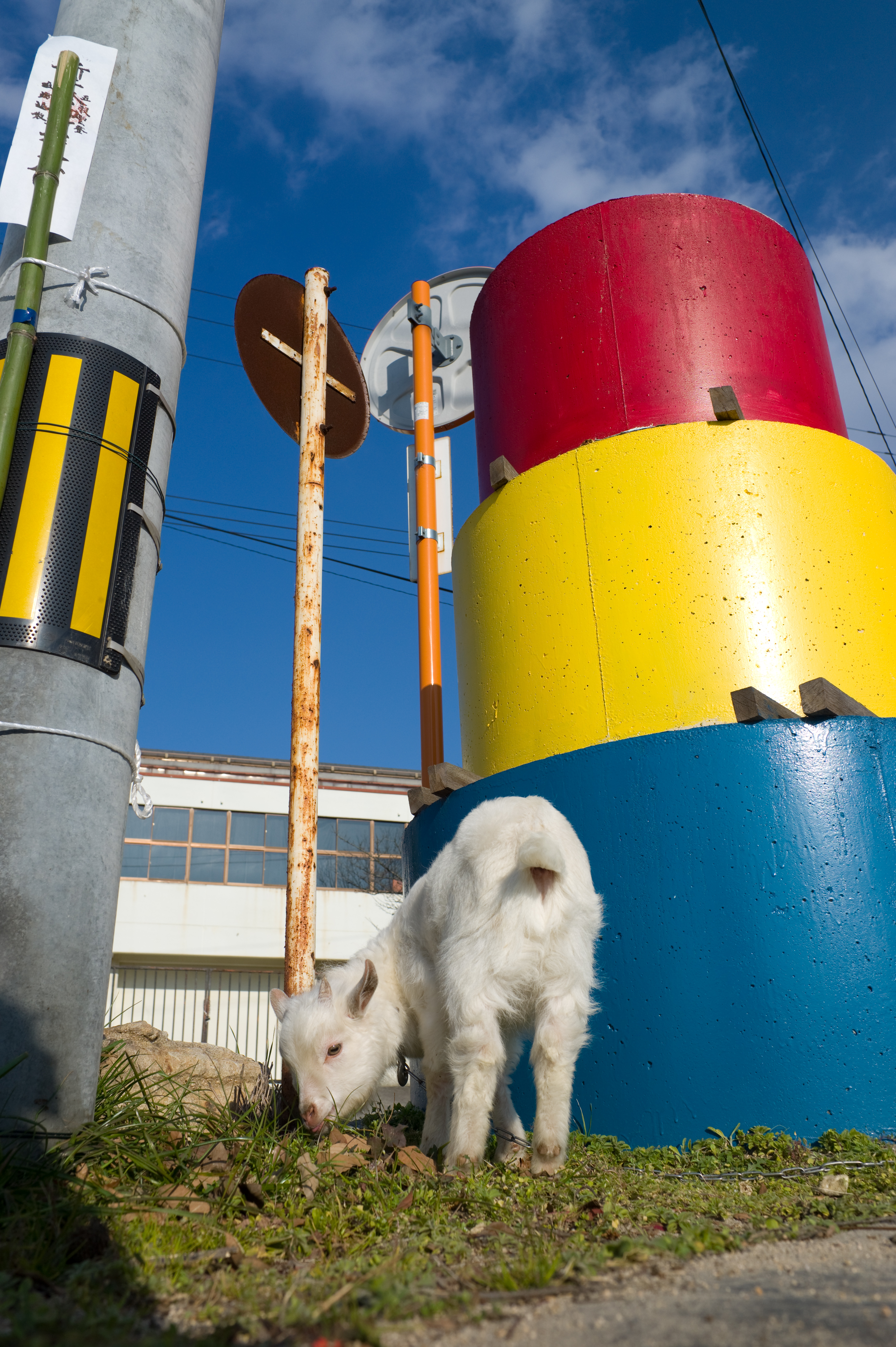 <b>M9 / ウルトロン28mm F2 / 約6.3MB / 3,468×5,212 / 1/500秒 / F8 / 0EV / ISO160</b>