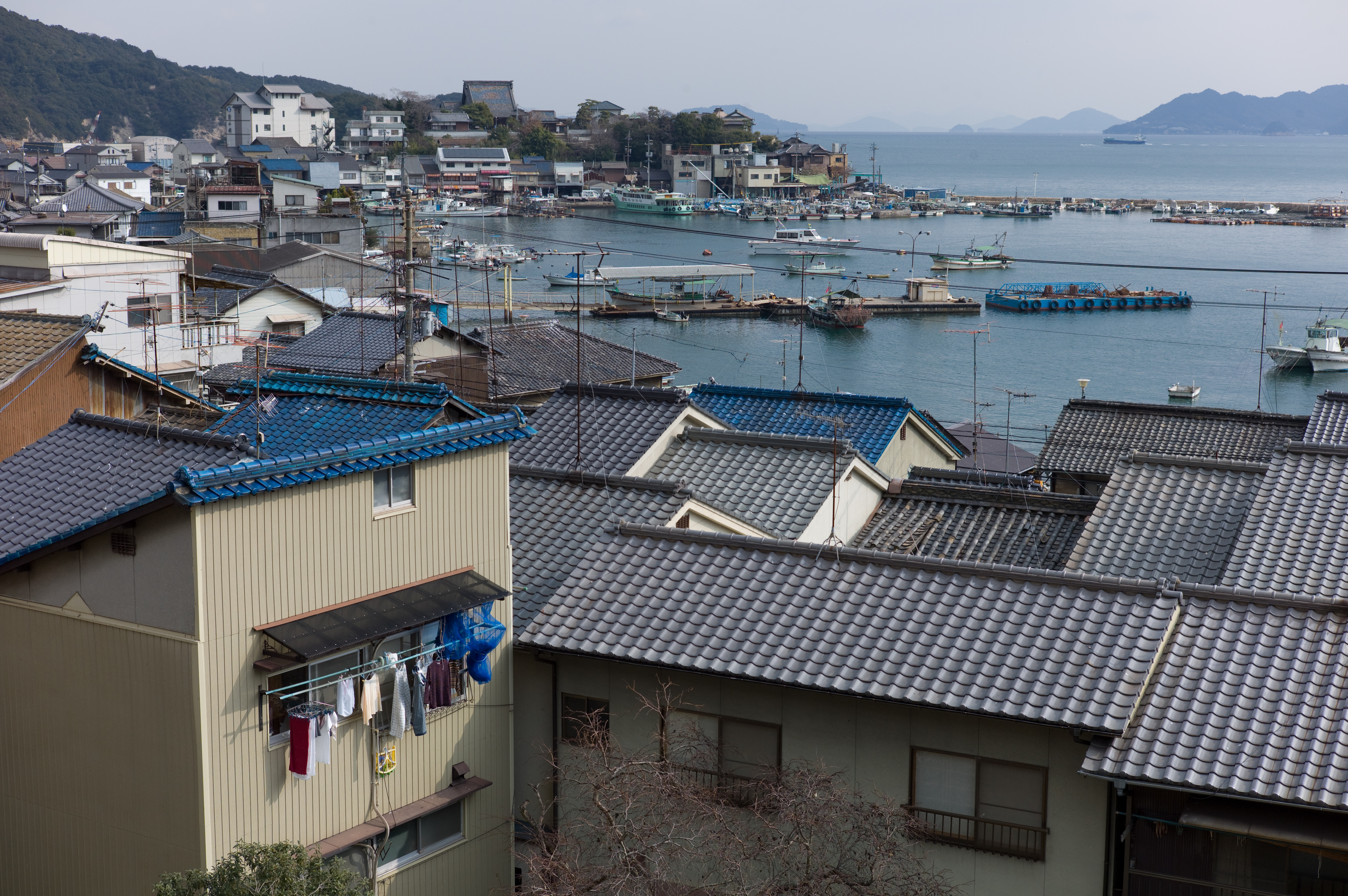 <b>RAWで撮影し、Lightroomで現像後、JPEGに変換した画像（リンク先はリサイズなしの画像）</b>