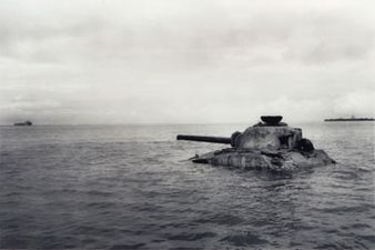 <b>(c)安島太佳由</b>