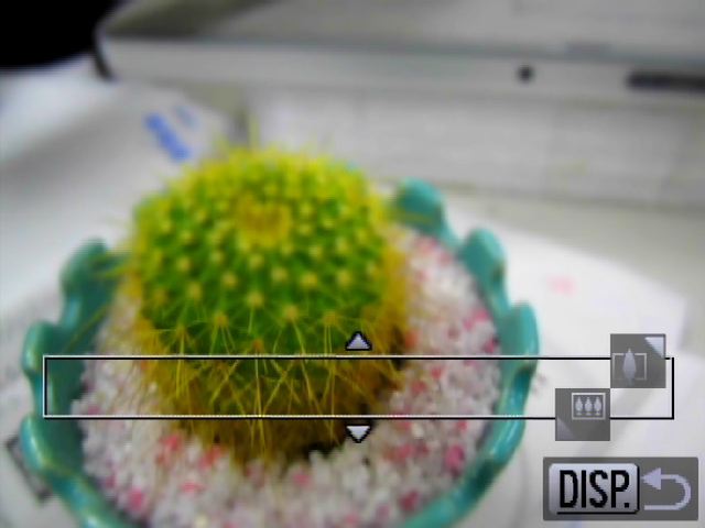 <b>ピントを合わせる位置は、画面の上から下まで好きな場所を選択できる</b>