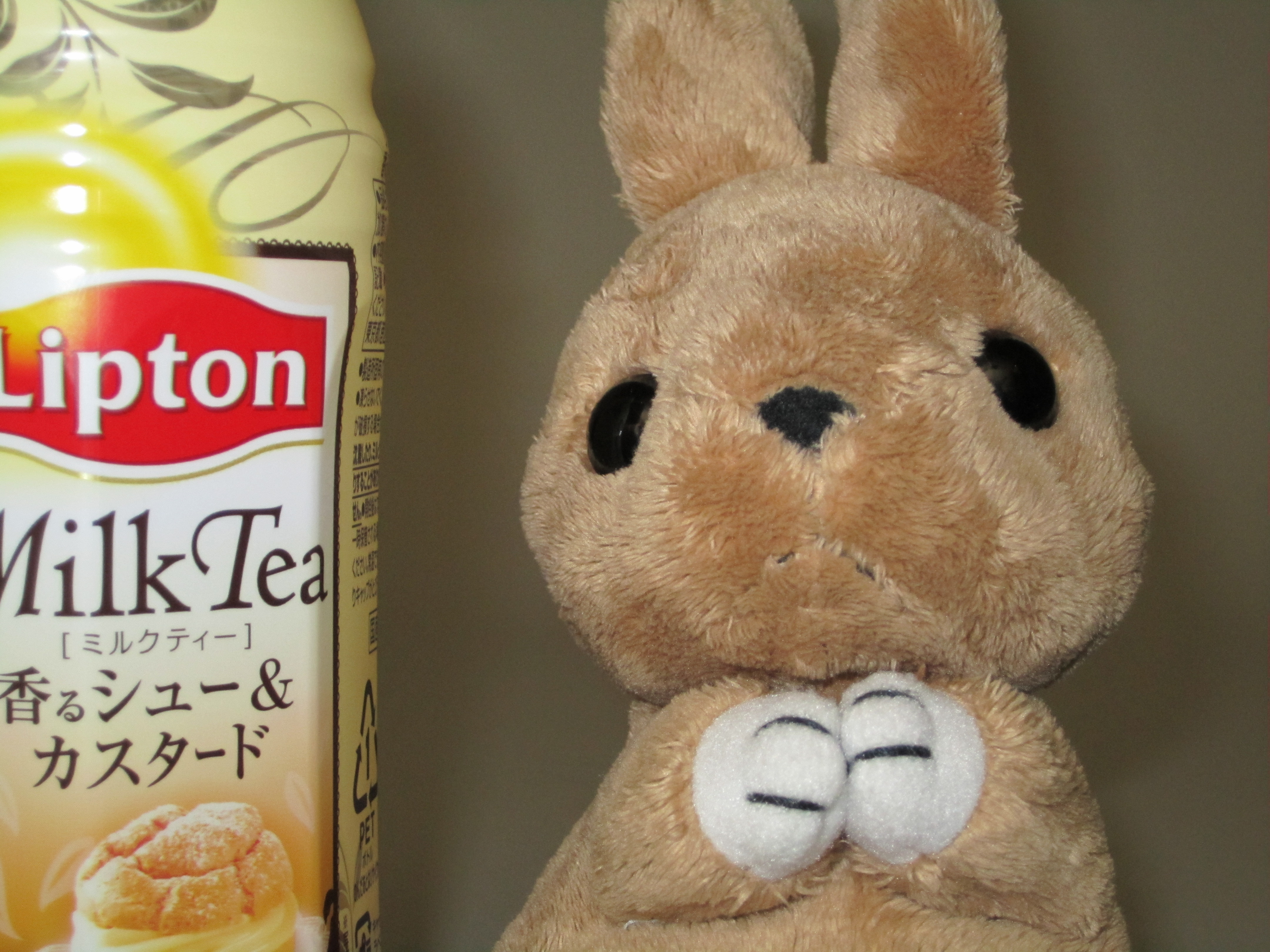 <b>IXY 400F / 4,320×3,240 / 1/15秒 / F4 / 0EV / ISO400 / オート / WB:オート / 11.2mm</b>