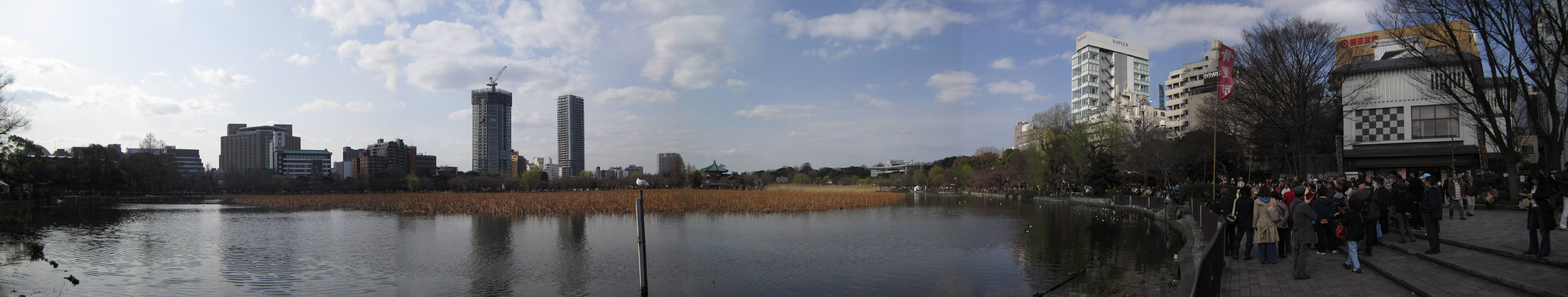 <b>IXY 400F / 3,000×568<br>同梱のPCソフト「PhotoStitch」で5枚を合成</b>