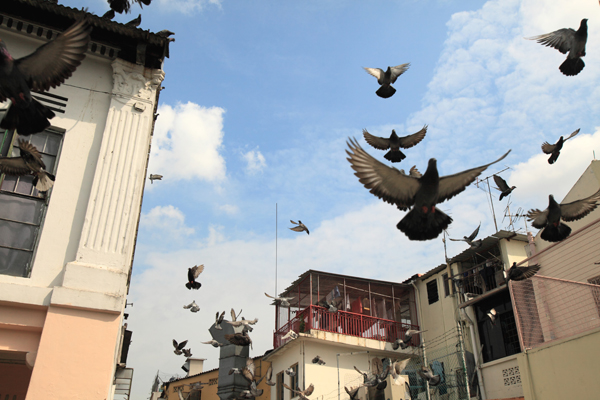 <b>(c)野寺治孝</b>