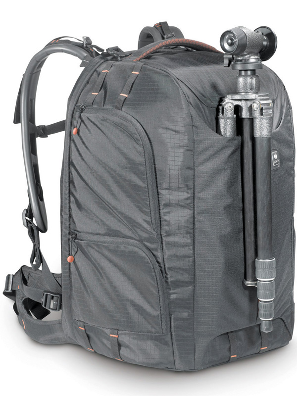 <b>ビートル282 PL</b>