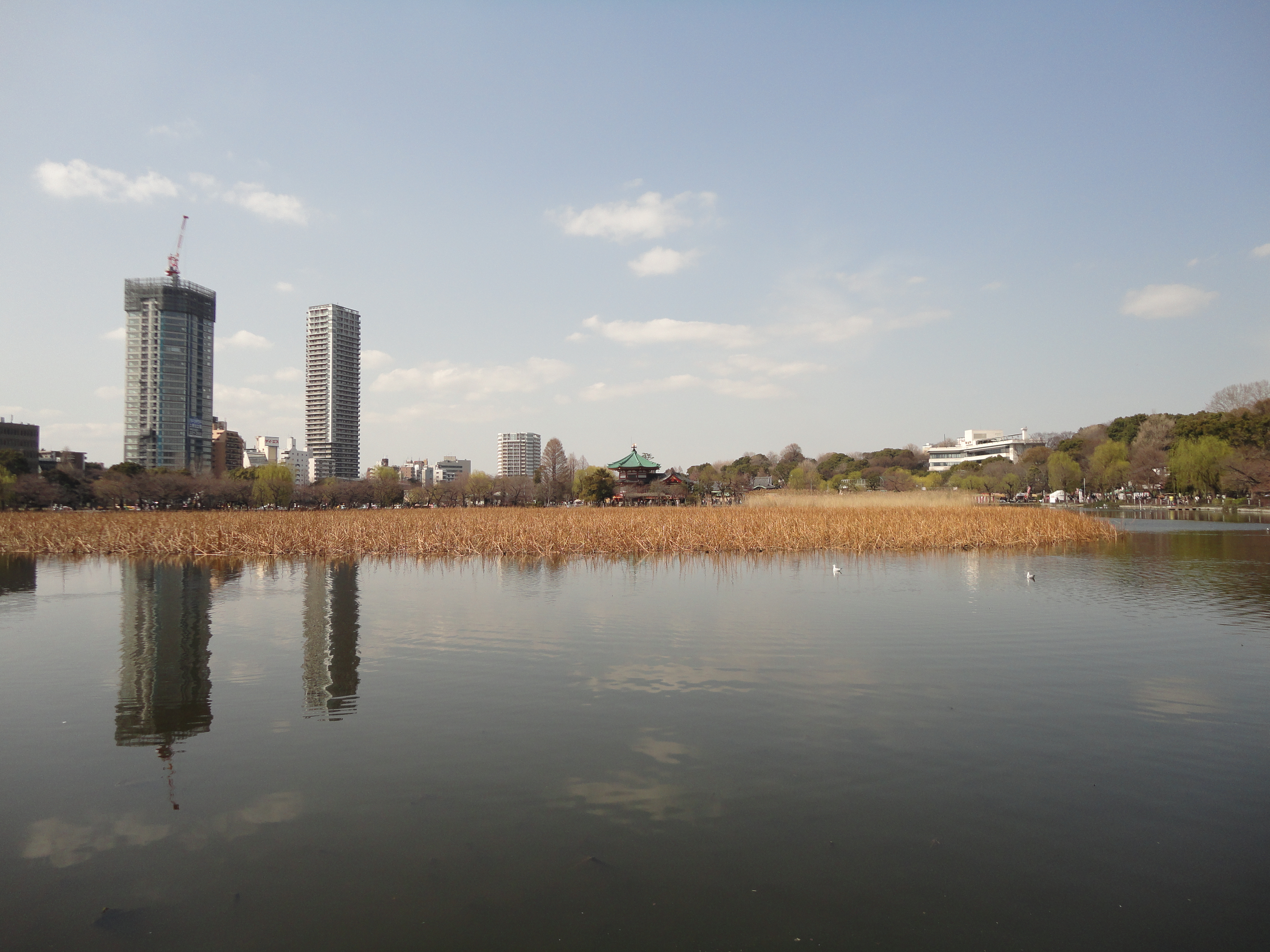 <b>DSC-W380 / 4,320×3,240 / 1/250秒 / F7 / 0EV / ISO80 / プログラム / WB:オート / 4.3mm</b>