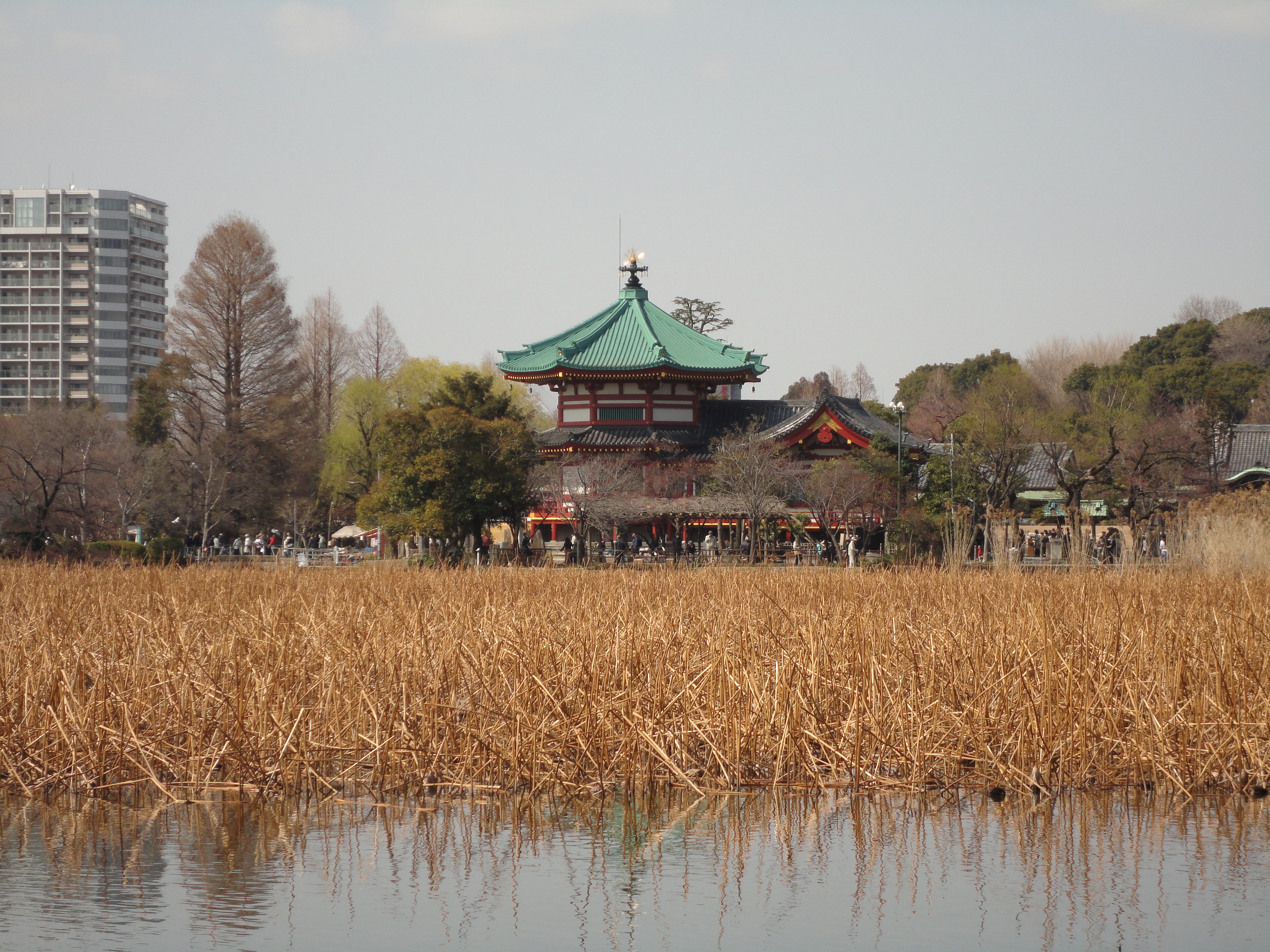 <b>DSC-W380 / 4,320×3,240 / 1/250秒 / F5.9 / 0EV / ISO80 / プログラム / WB:オート / 21.3mm</b>