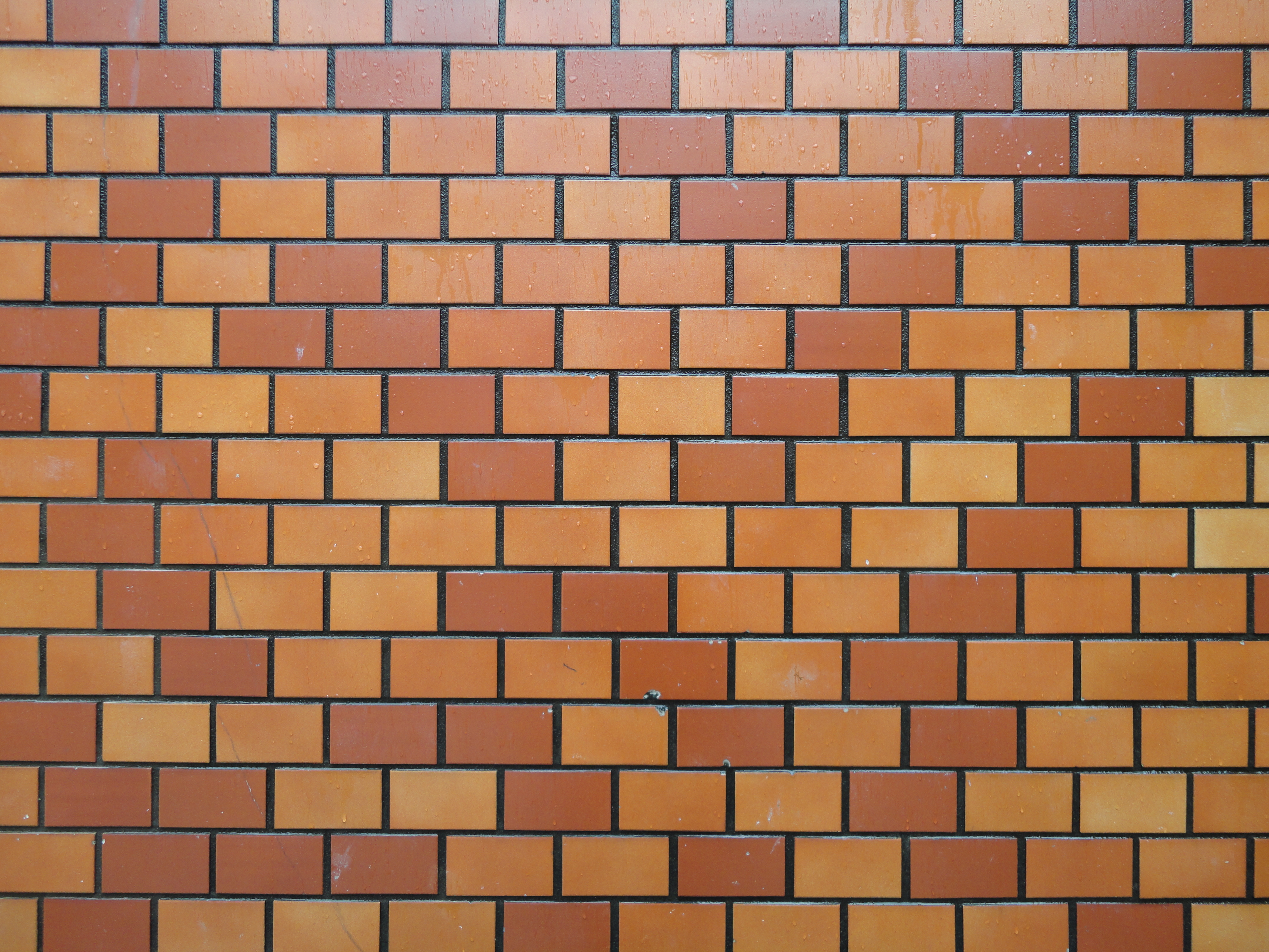 <b>DSC-W380 / 4,320×3,240 / 1/30秒 / F2.4 / 0EV / ISO80 / プログラム / WB:オート / 4.3mm</b>