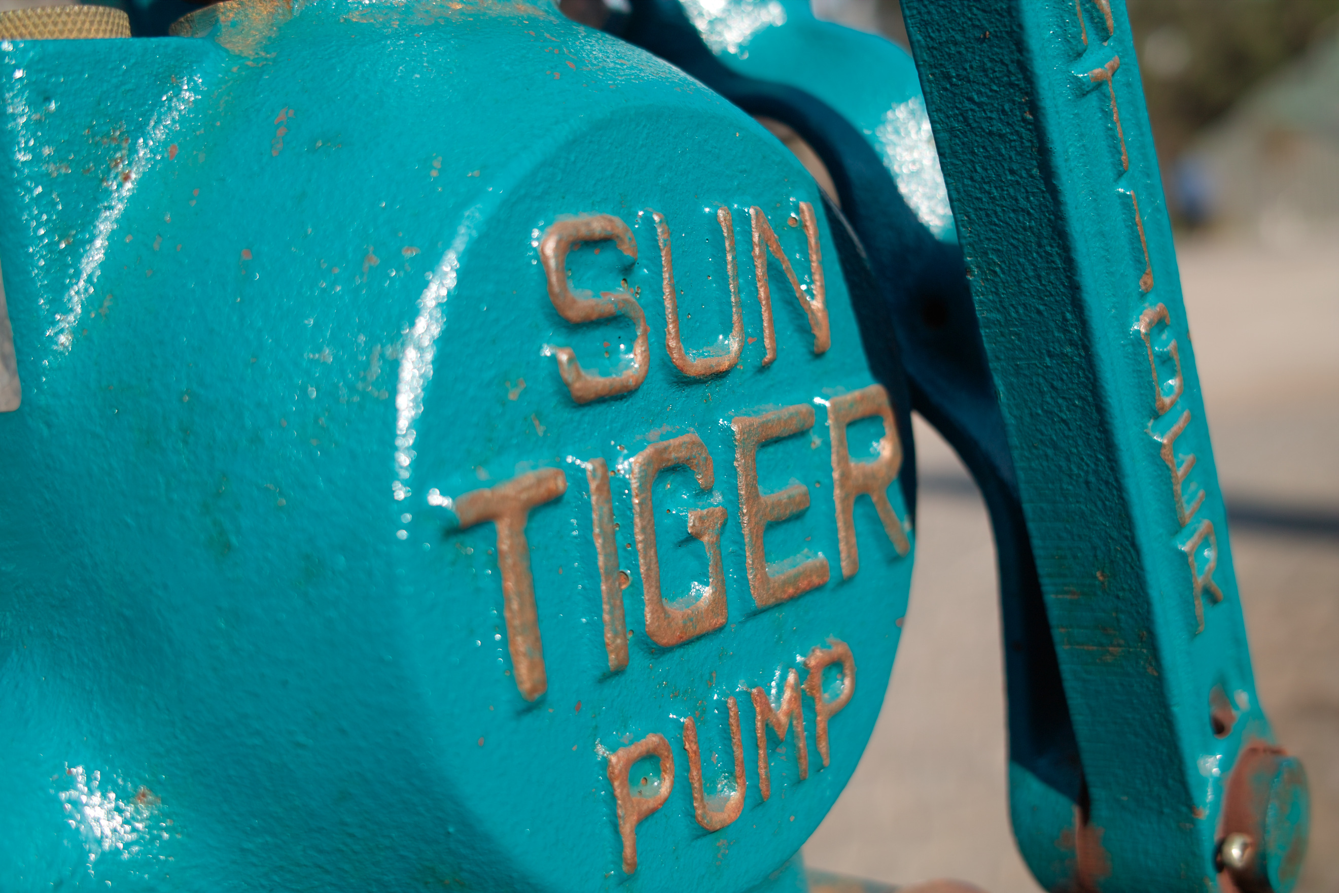 <b>AML-1非装着<br>DP2 / 約1.2MB / 2,640×1,760 / 1/500秒 / F4 / 0EV / ISO100 / 24.2mm</b>