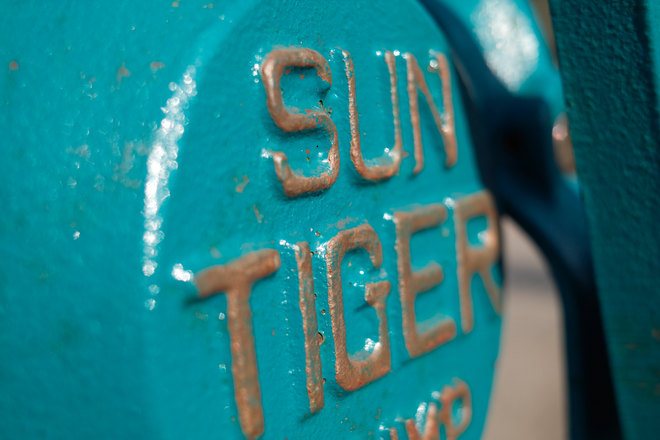 <b>AML-1装着<br>DP2 / 約865K / 2,640×1,760 / 1/500秒 / F4 / 0EV / ISO100 / 24.2mm</b>