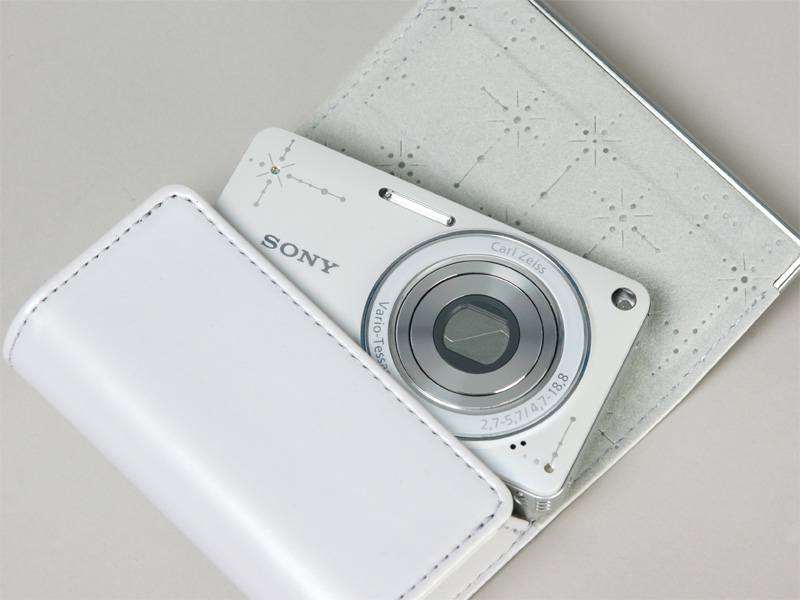 <b>本体のデザインとカラーに合わせたケース「LCS-WJ」（3,360円）も用意</b>