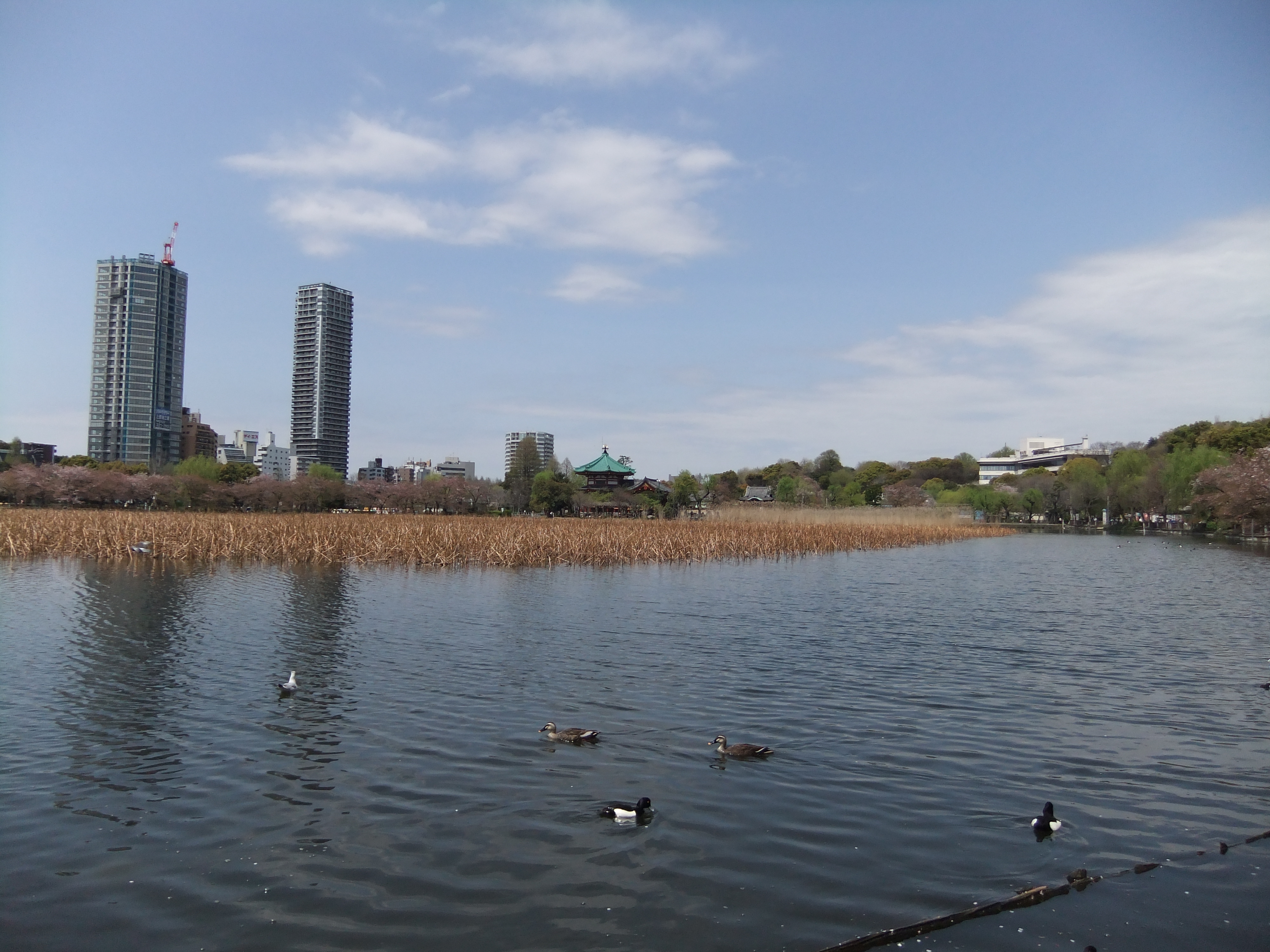 <b>広角端<br>FinePix F80EXR / 4,000×3,000 / 1/280秒 / F9 / 0EV / ISO100 / プログラム / WB:オート / 5mm</b>