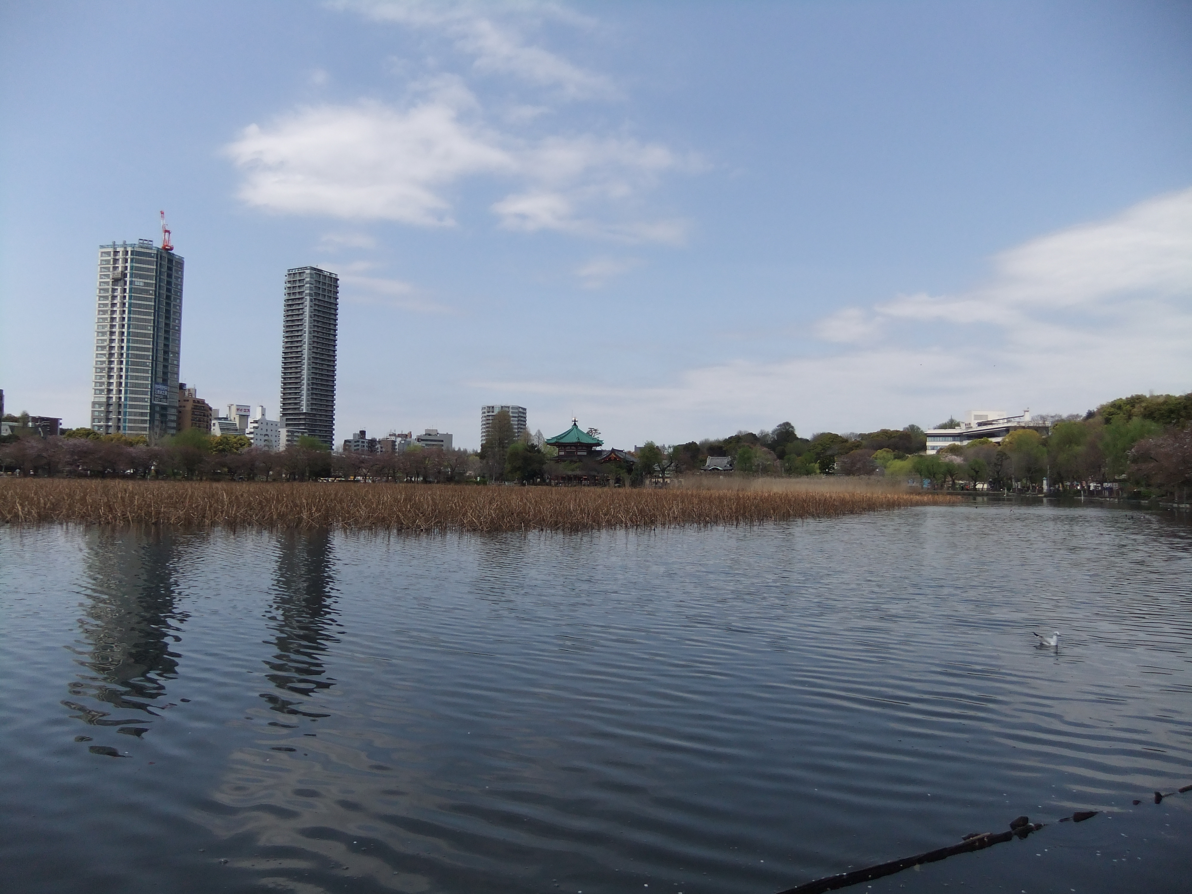 <b>広角端<br>FinePix F80EXR / 4,000×3,000 / 1/250秒 / F9 / 0EV / ISO100 / EXR：高解像度優先 / WB:オート / 5mm</b>